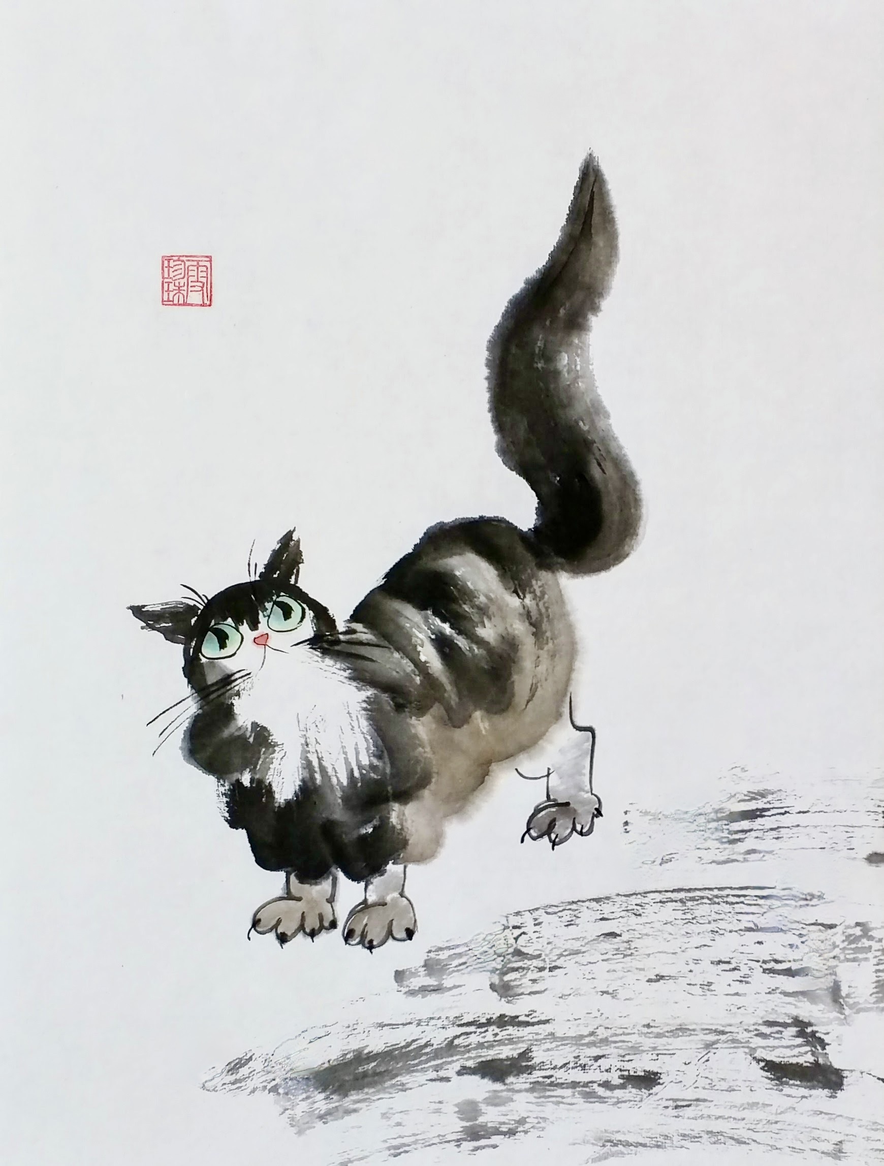 Cats 000