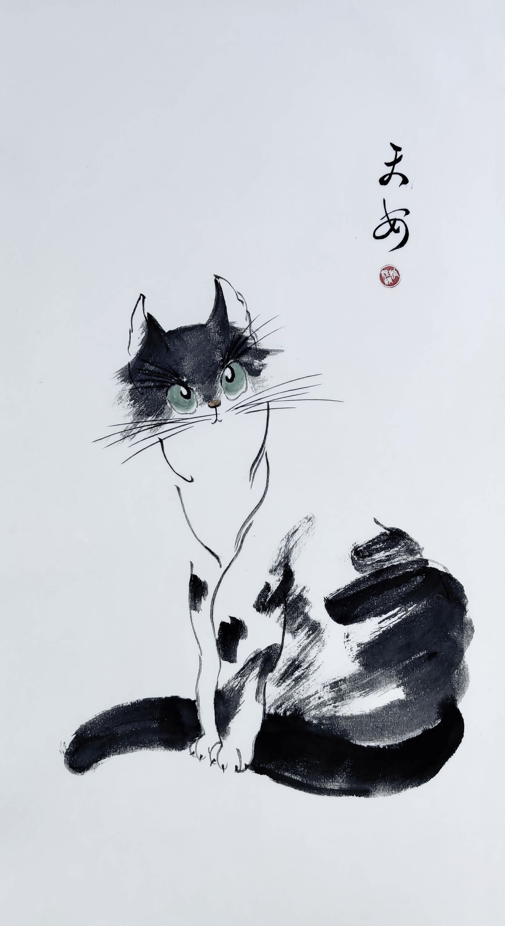 Cats 001
