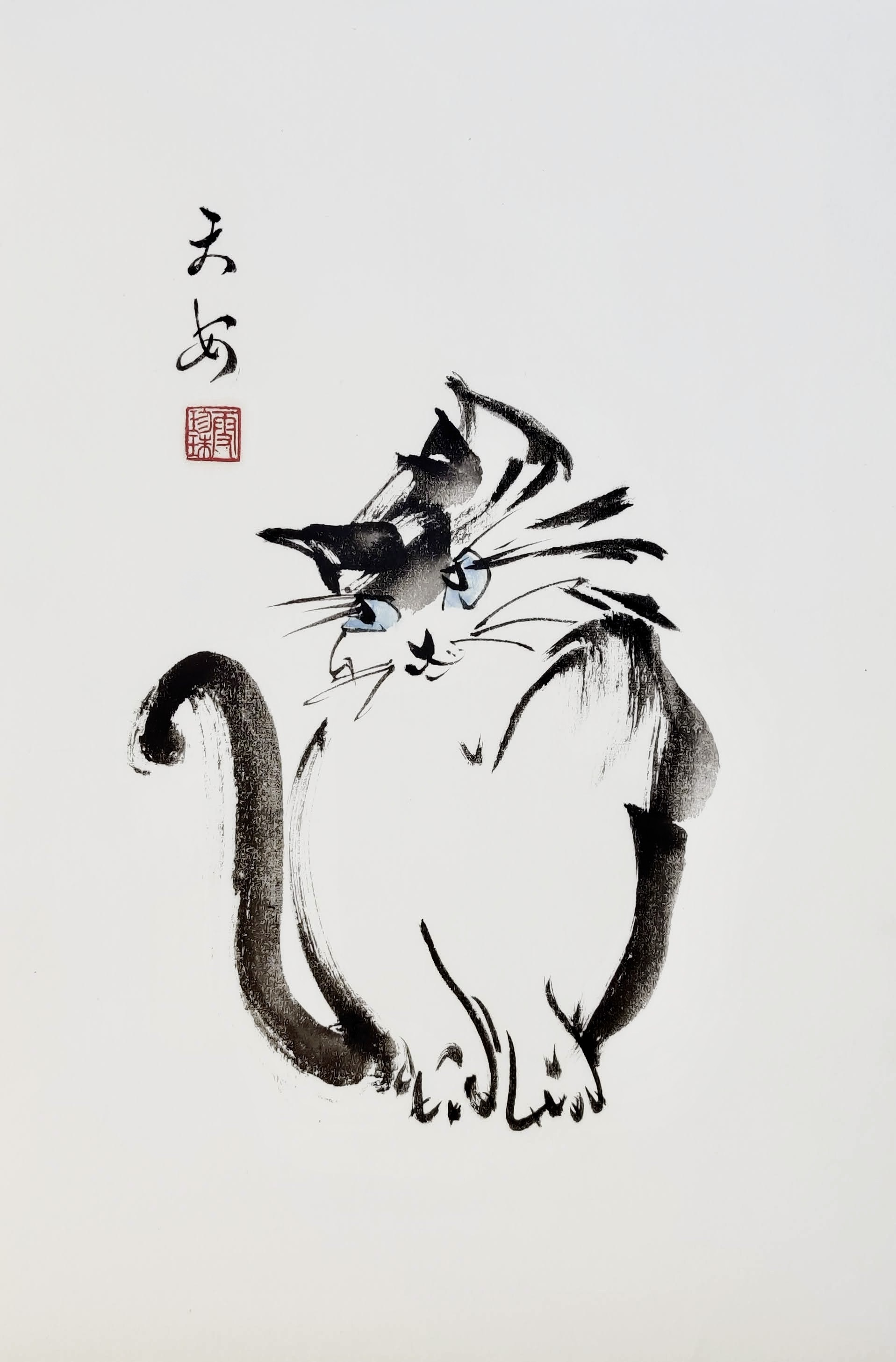 Cats 003