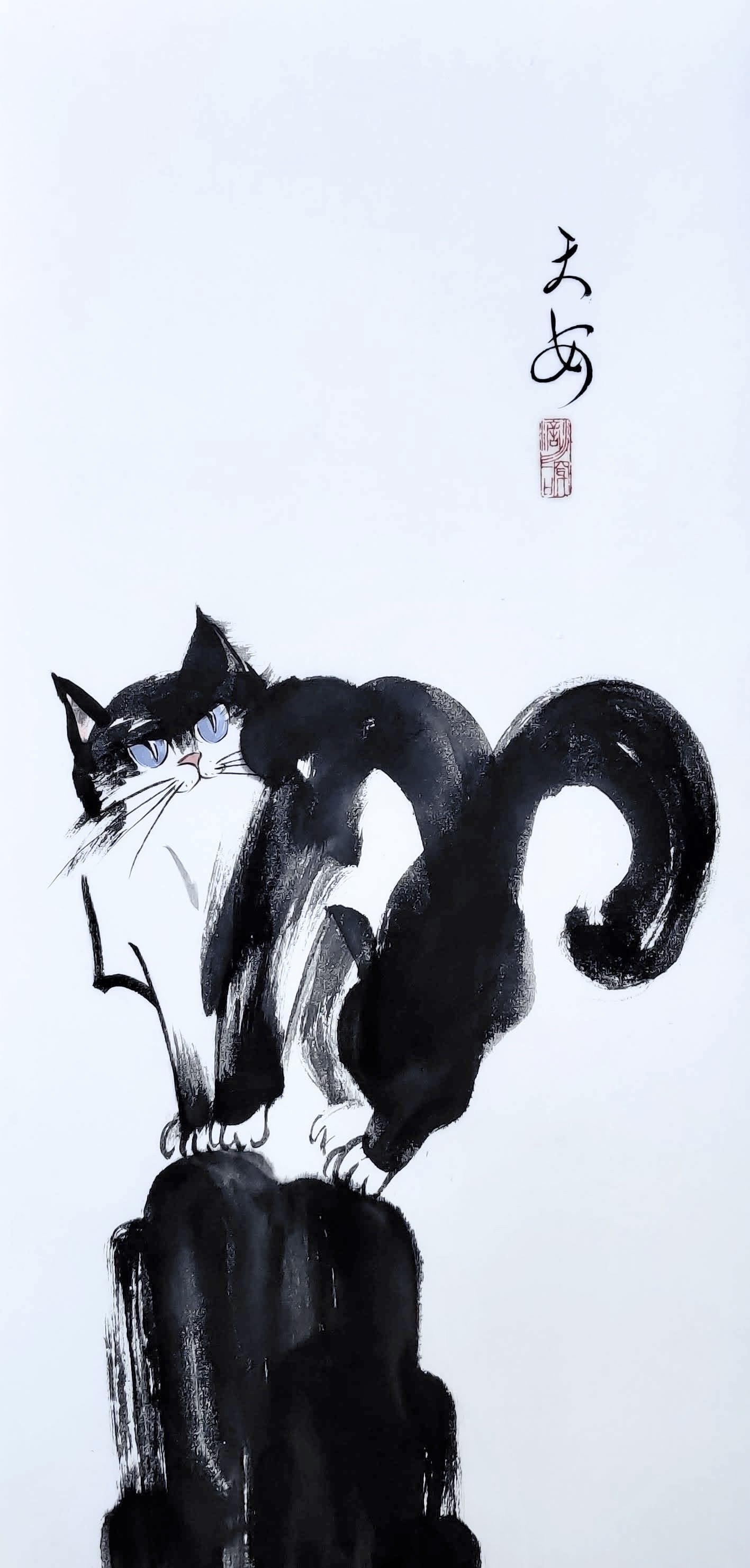 Cats 004