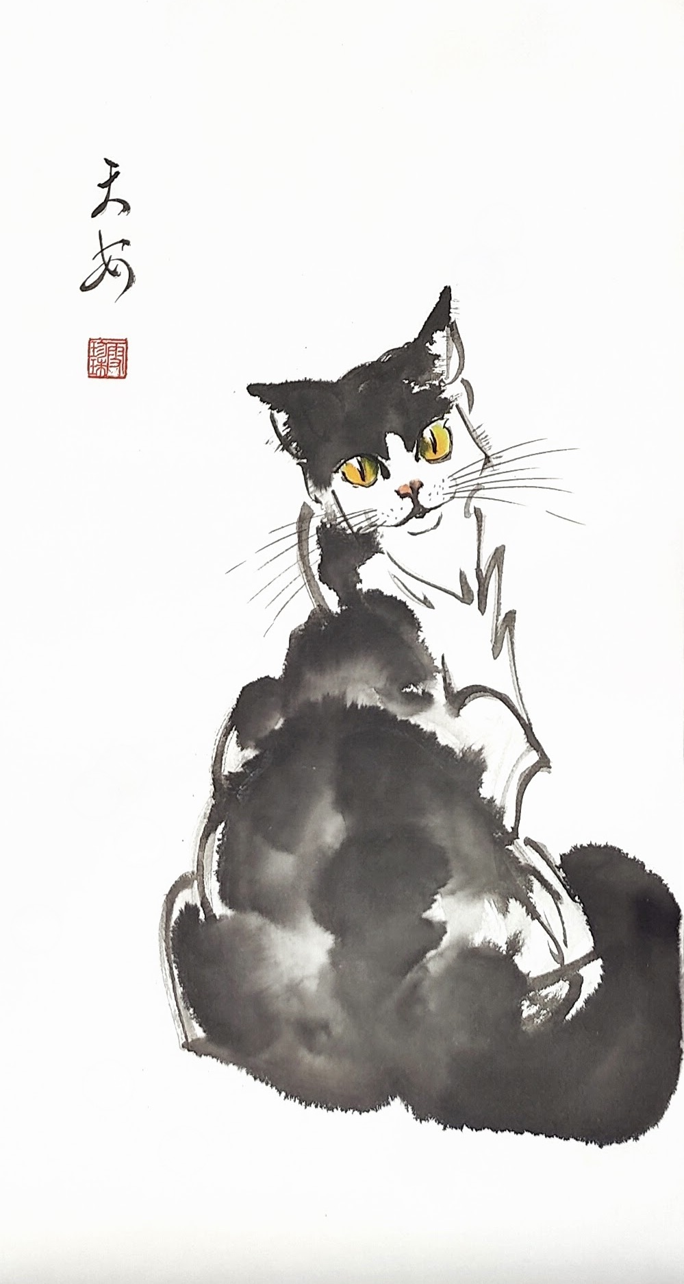 Cats 006