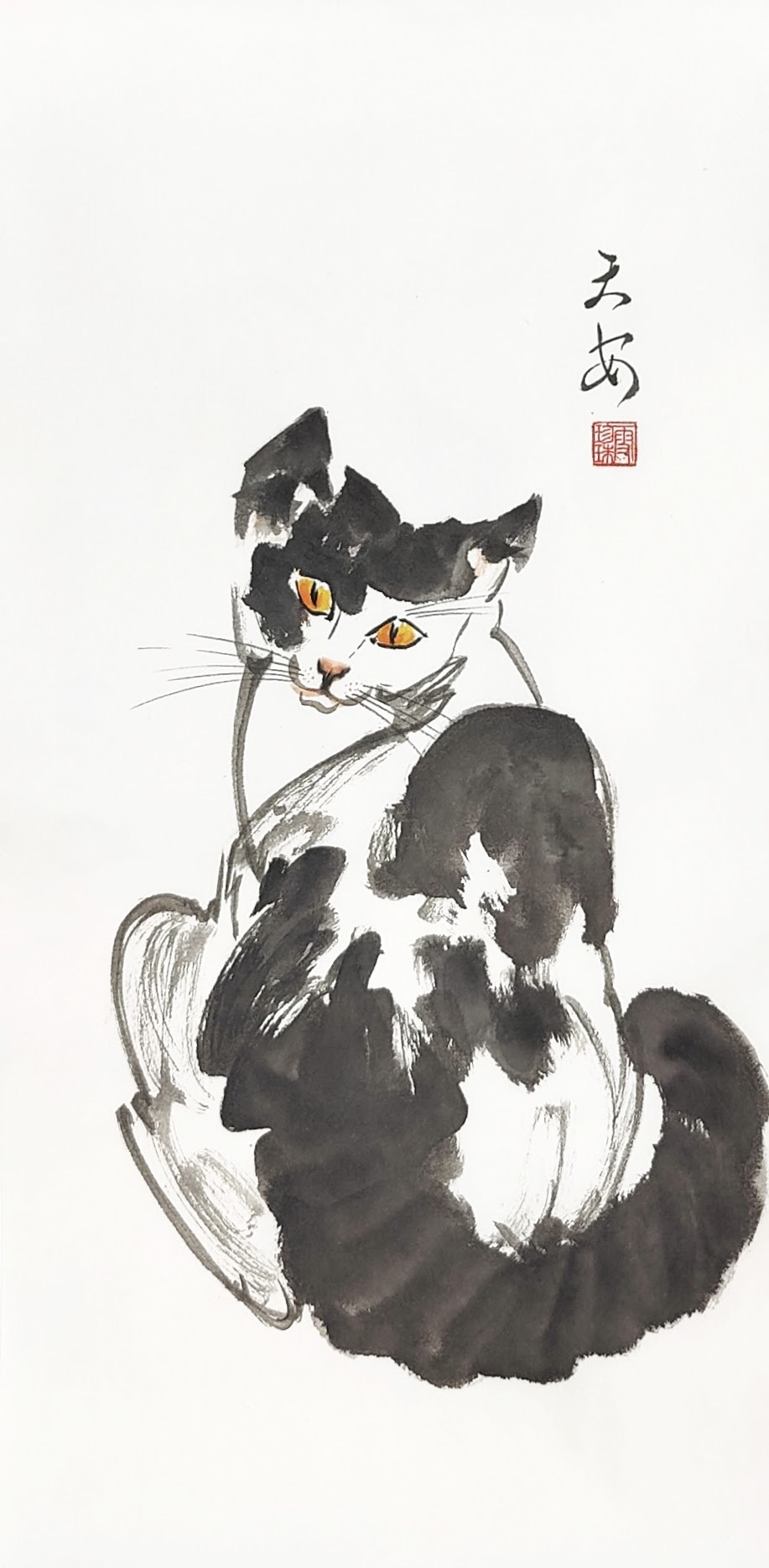 Cats 007