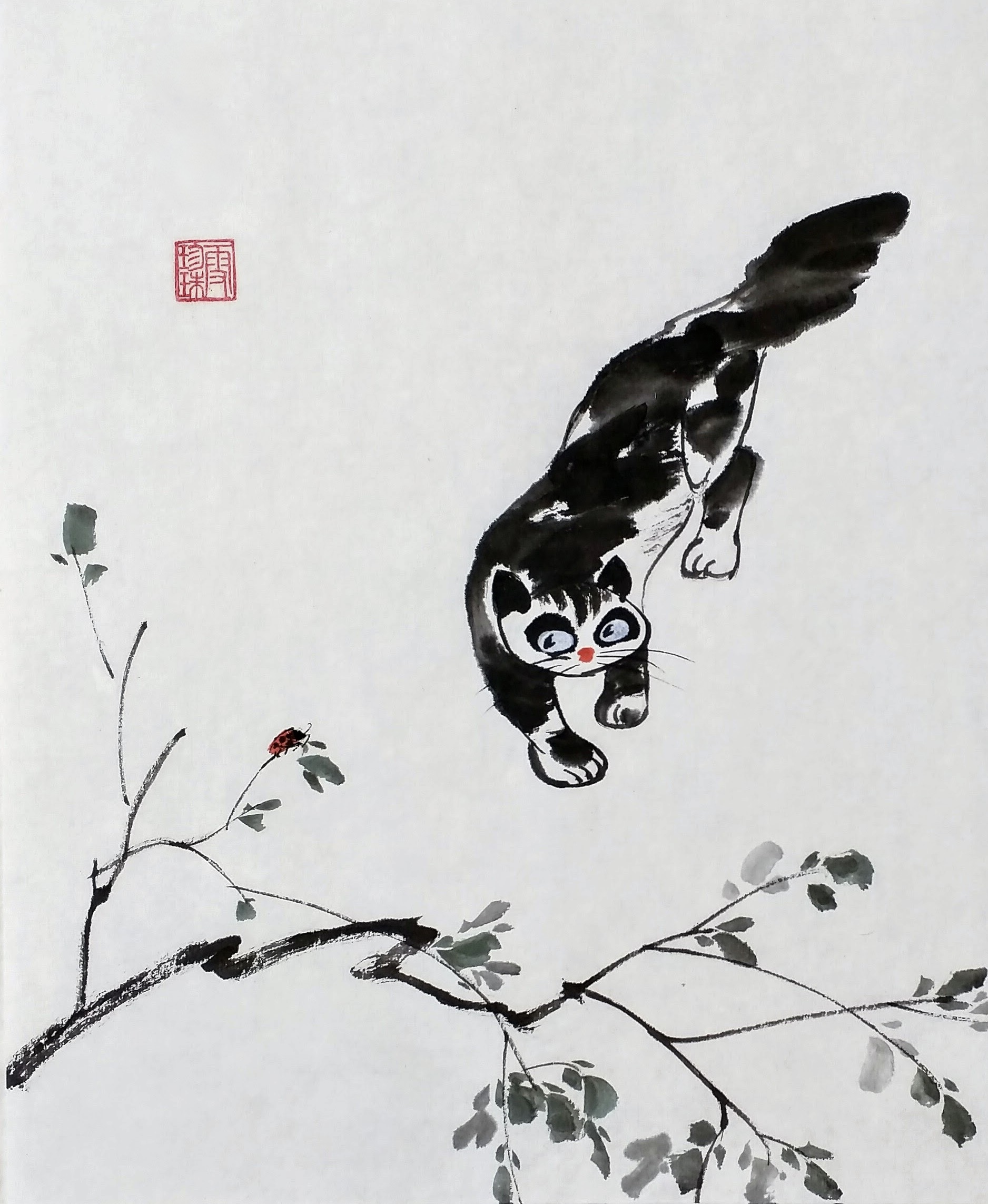 Cats 008