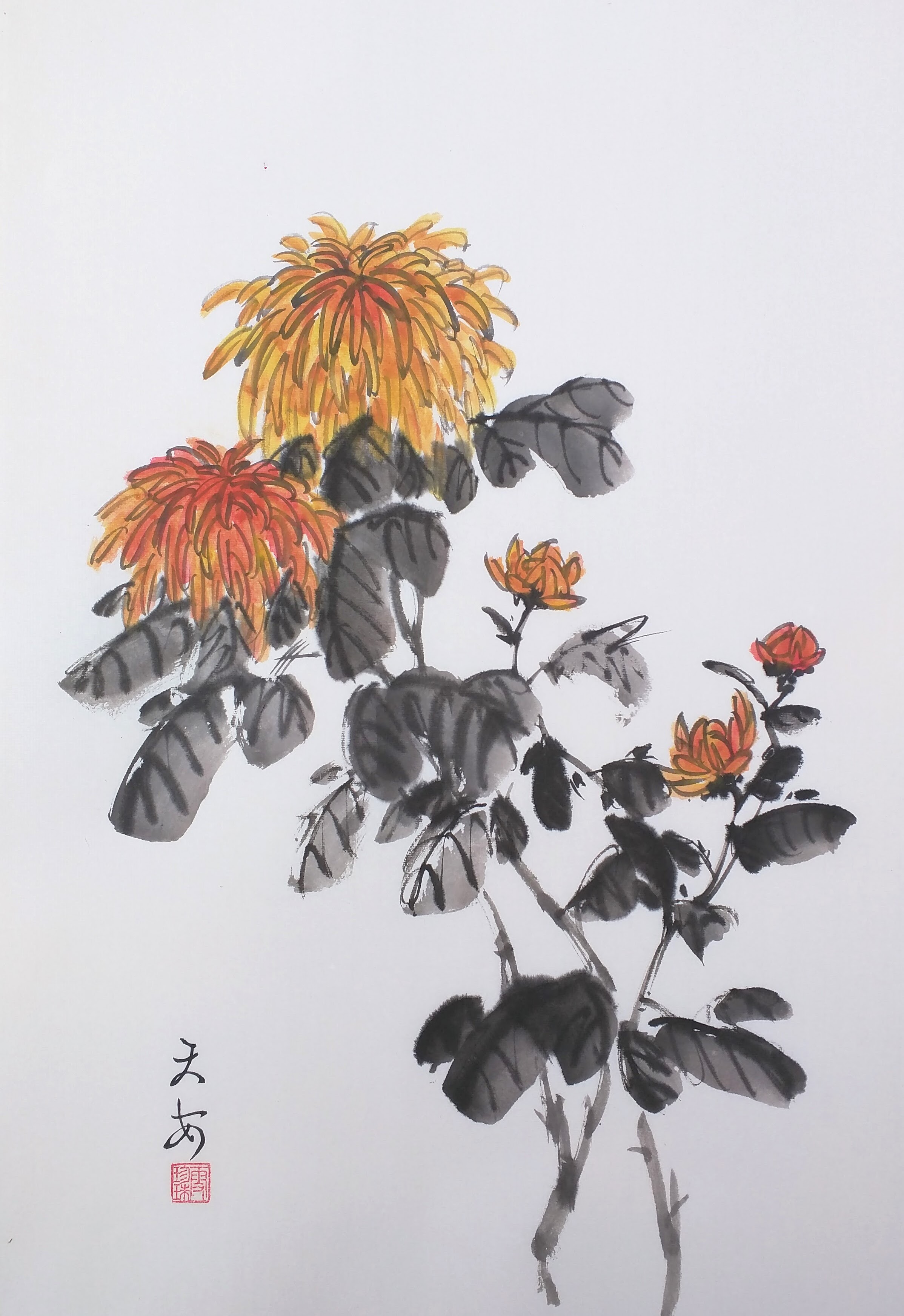 Chrysanthemums 000