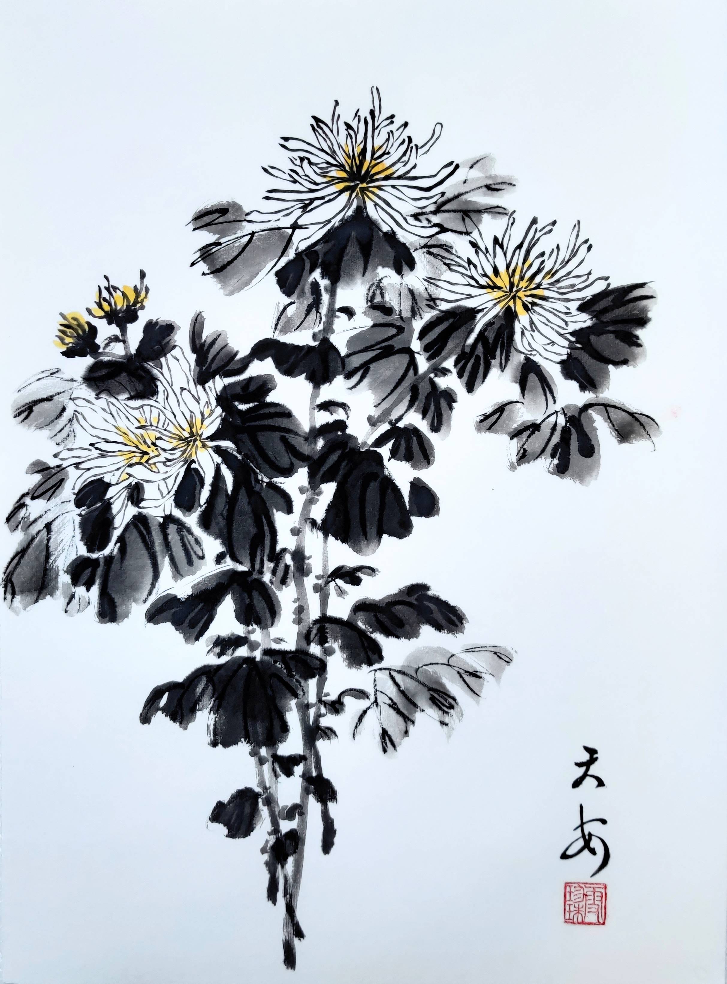 Chrysanthemums 001