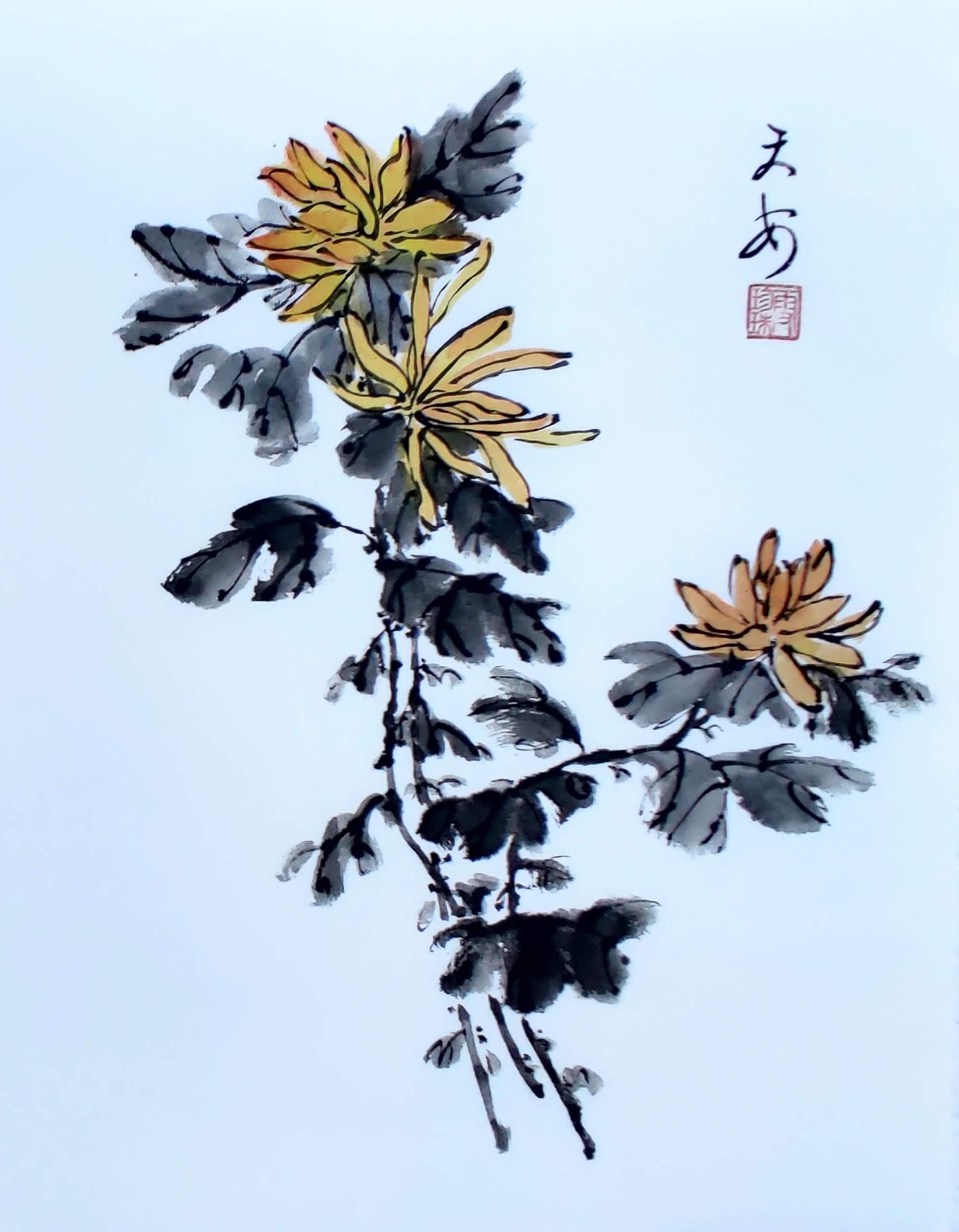Chrysanthemums 003