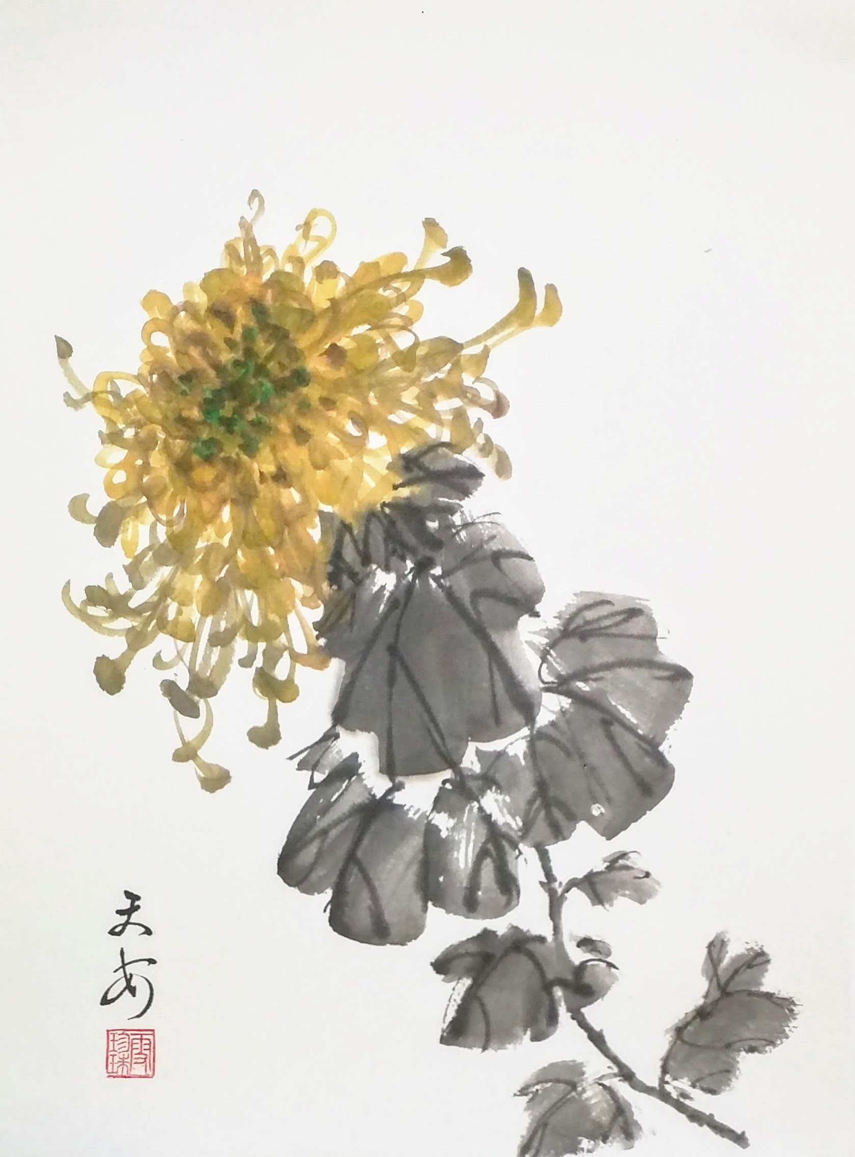 Chrysanthemums 004