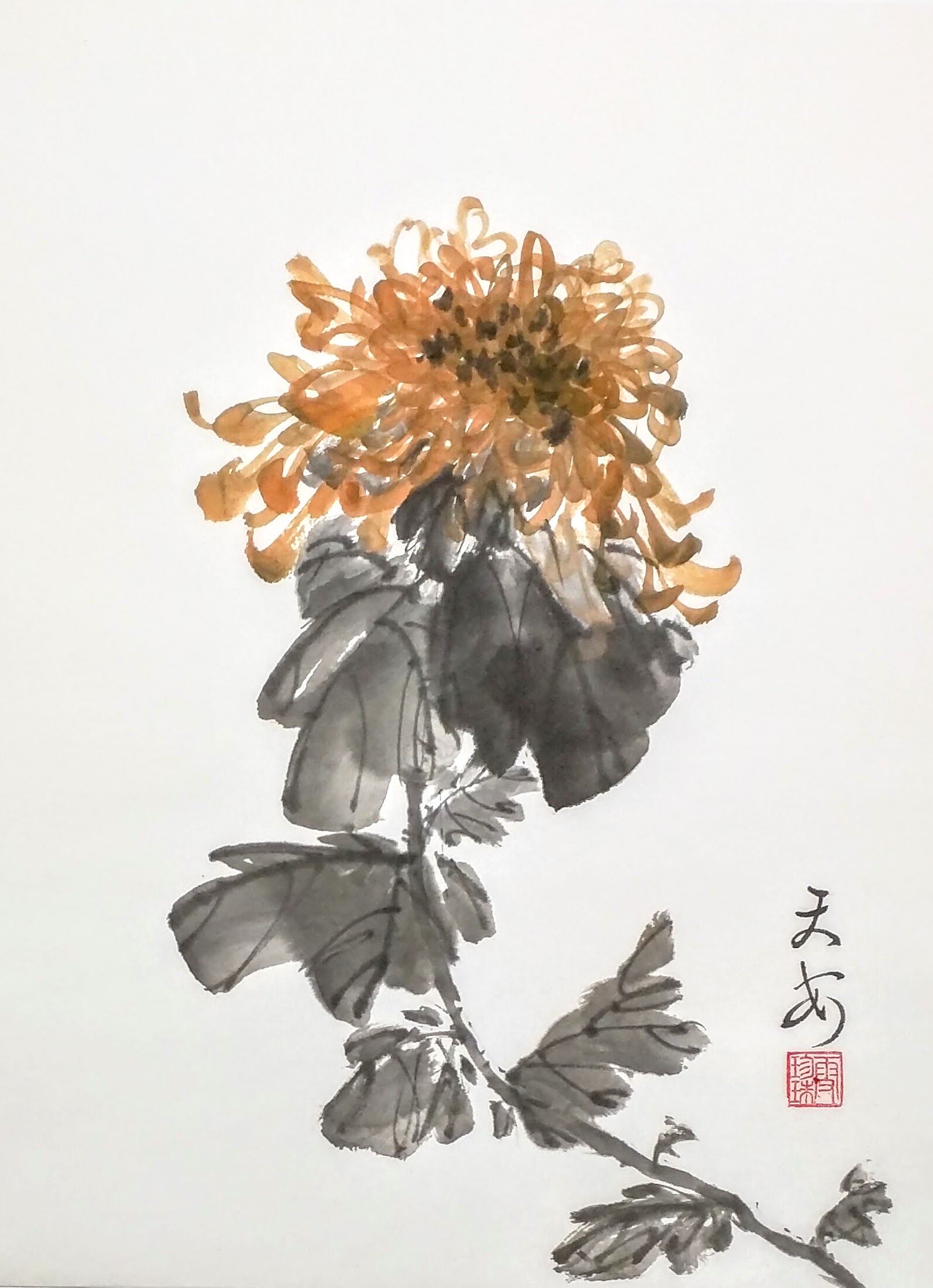 Chrysanthemums 005
