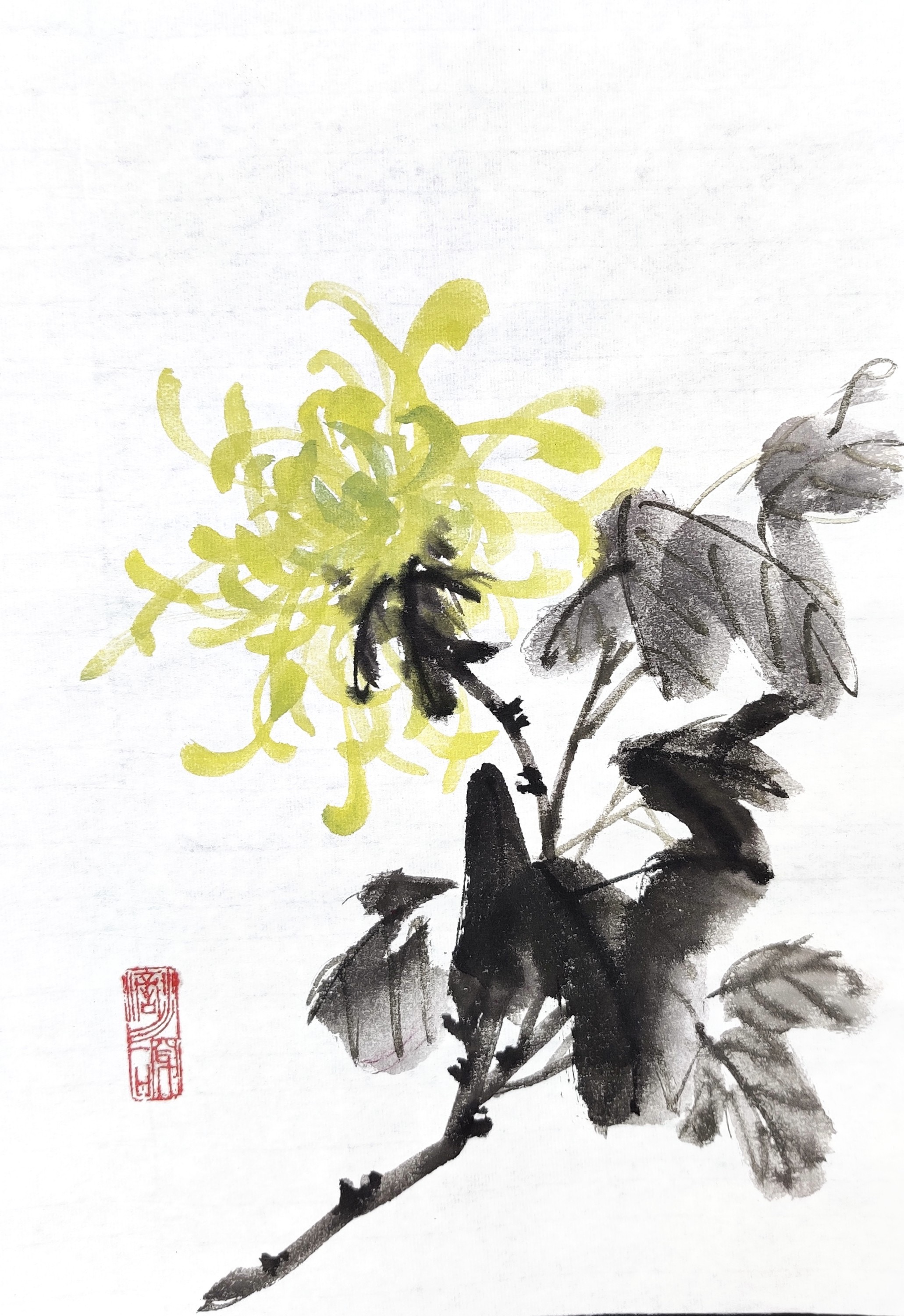 Chrysanthemums 006