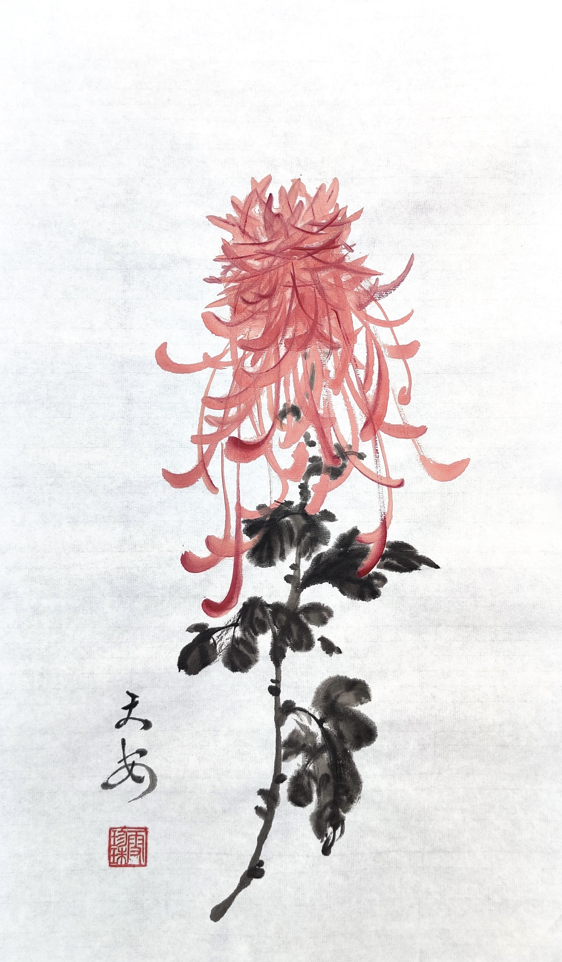 Chrysanthemums 007
