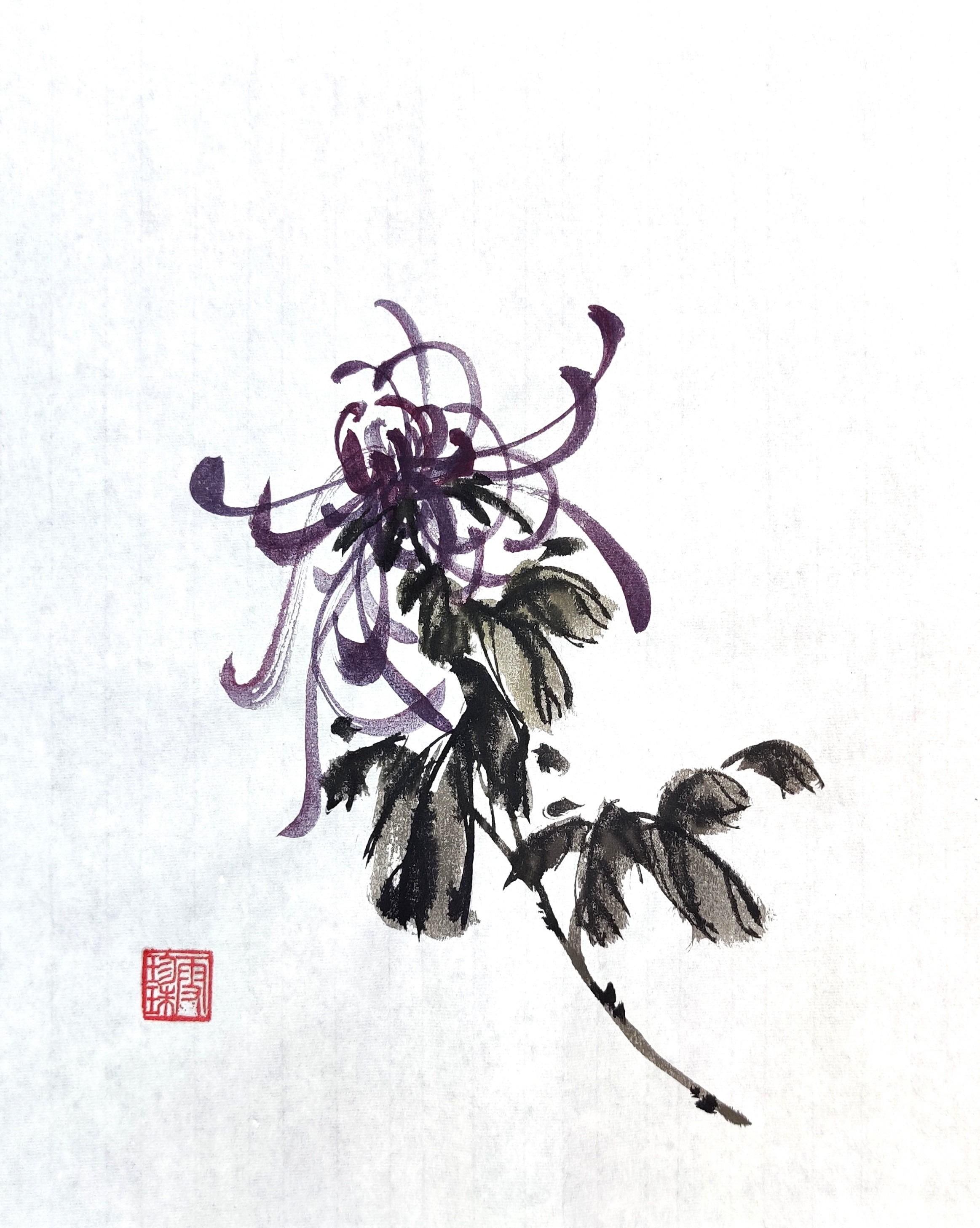 Chrysanthemums 008