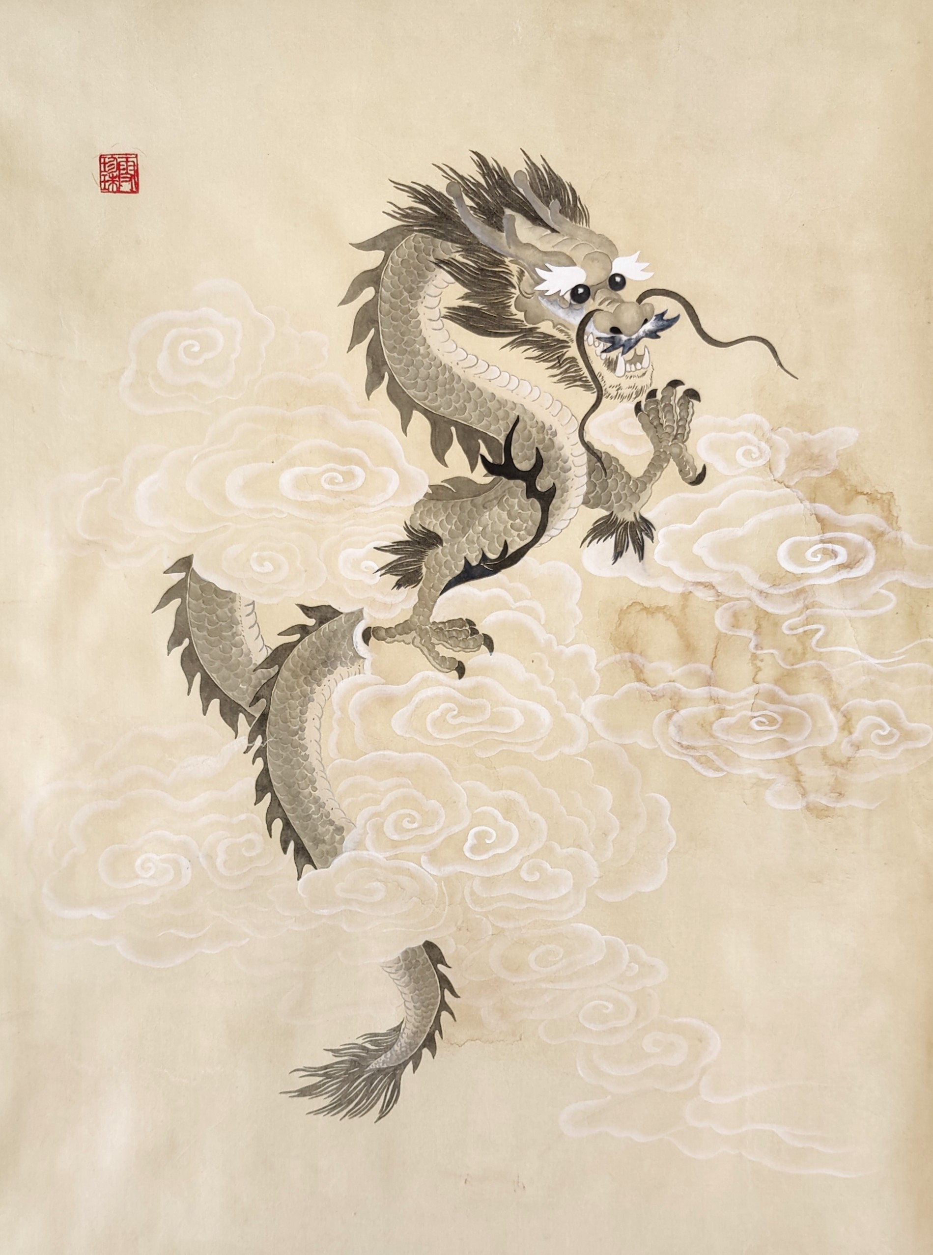 Dragons 007