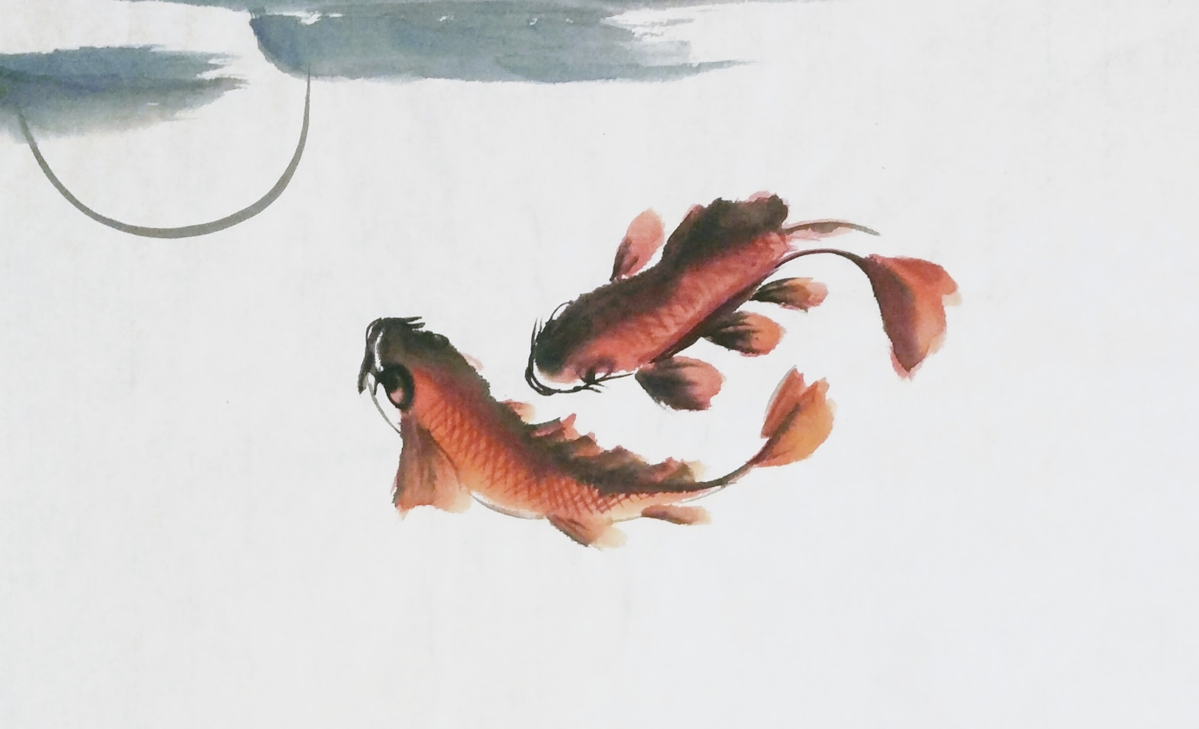 Fish 009