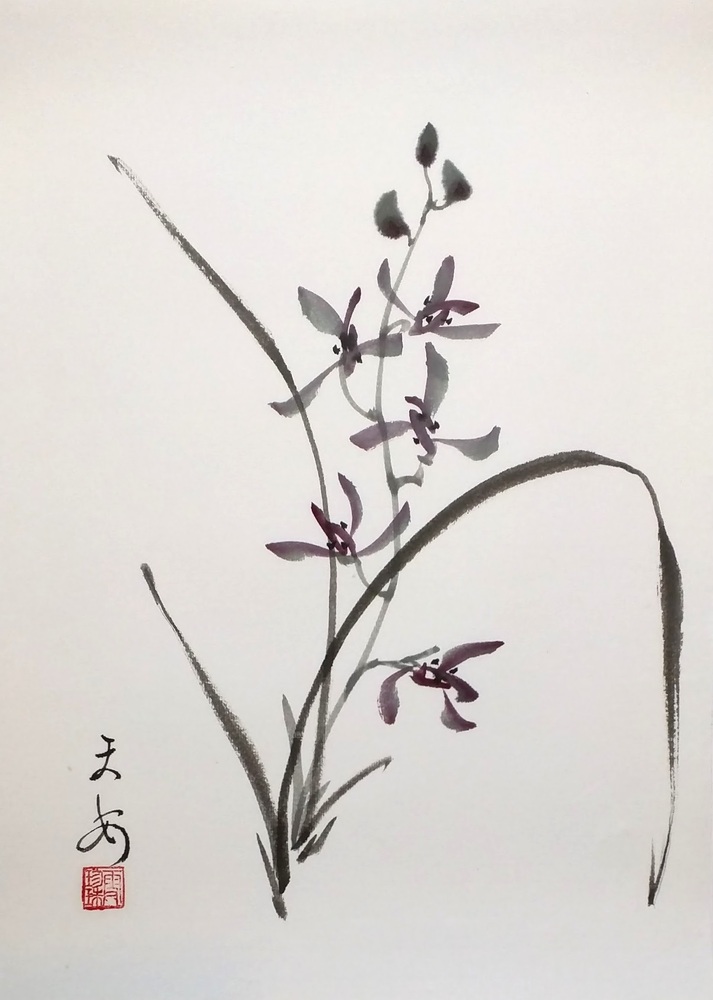 Orchid 006