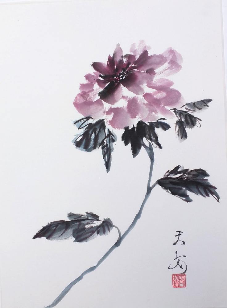 Peonies 009