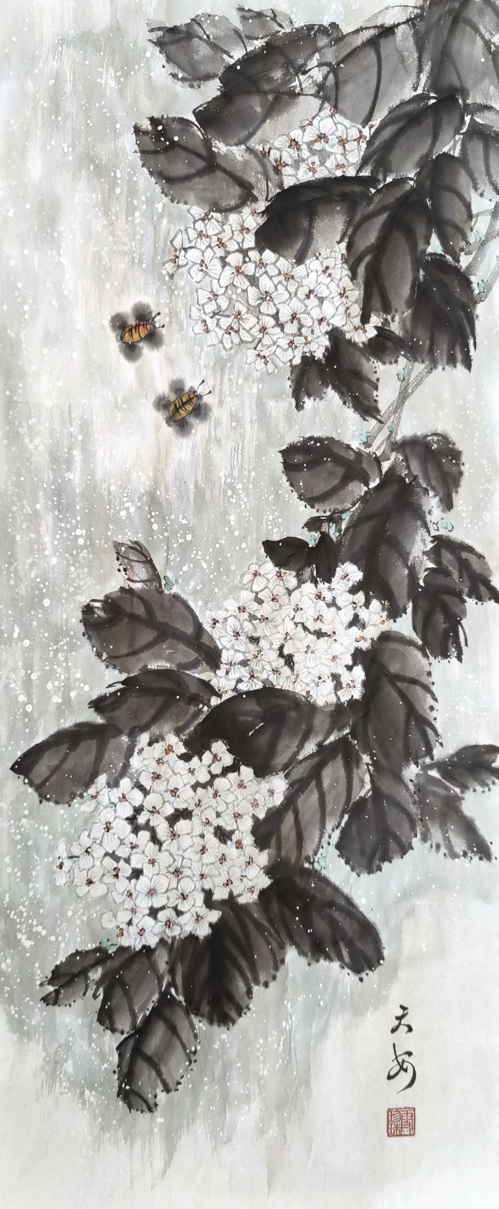 Hydrangea 002