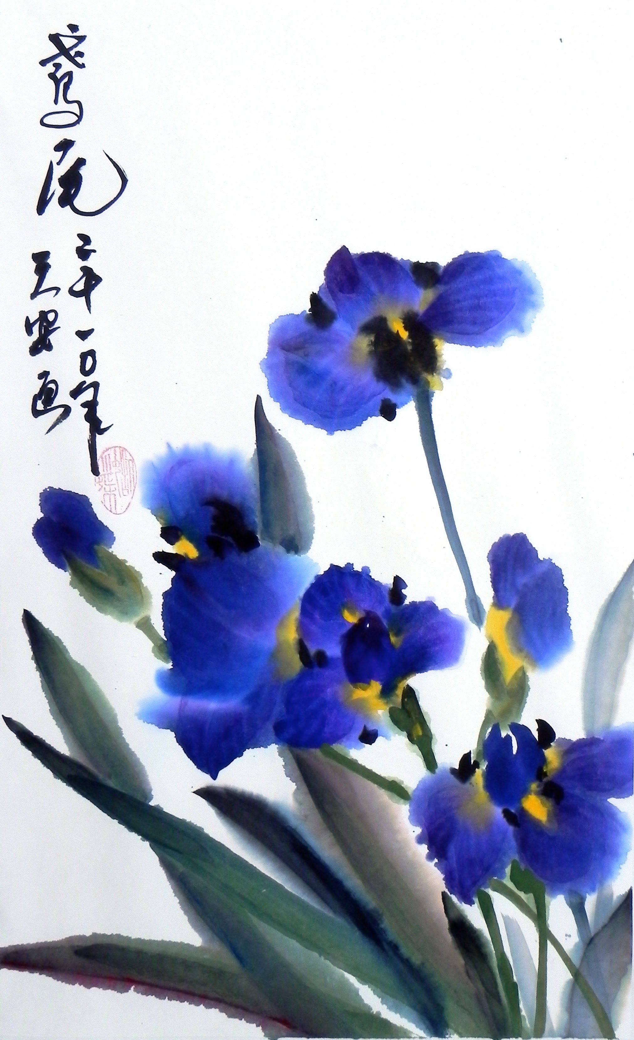 Iris 000