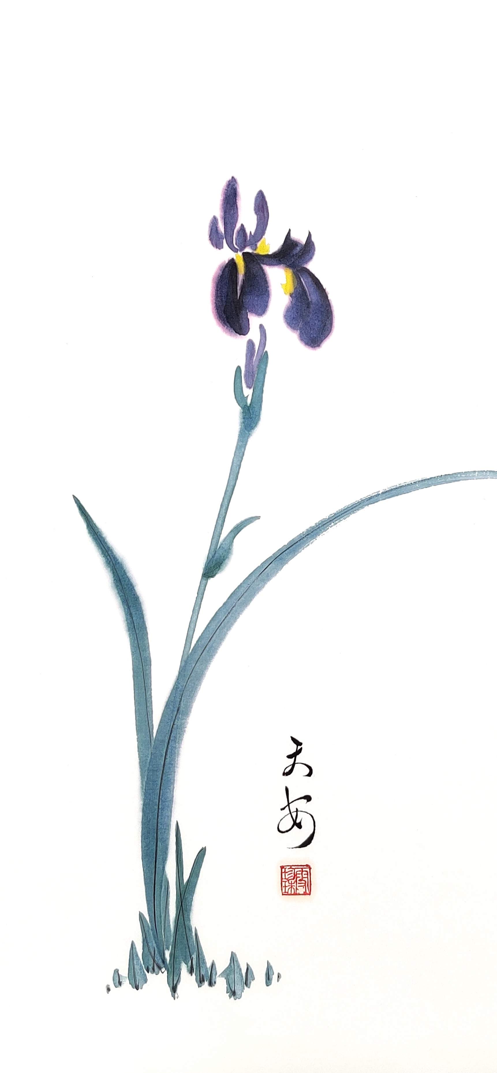 Iris 001