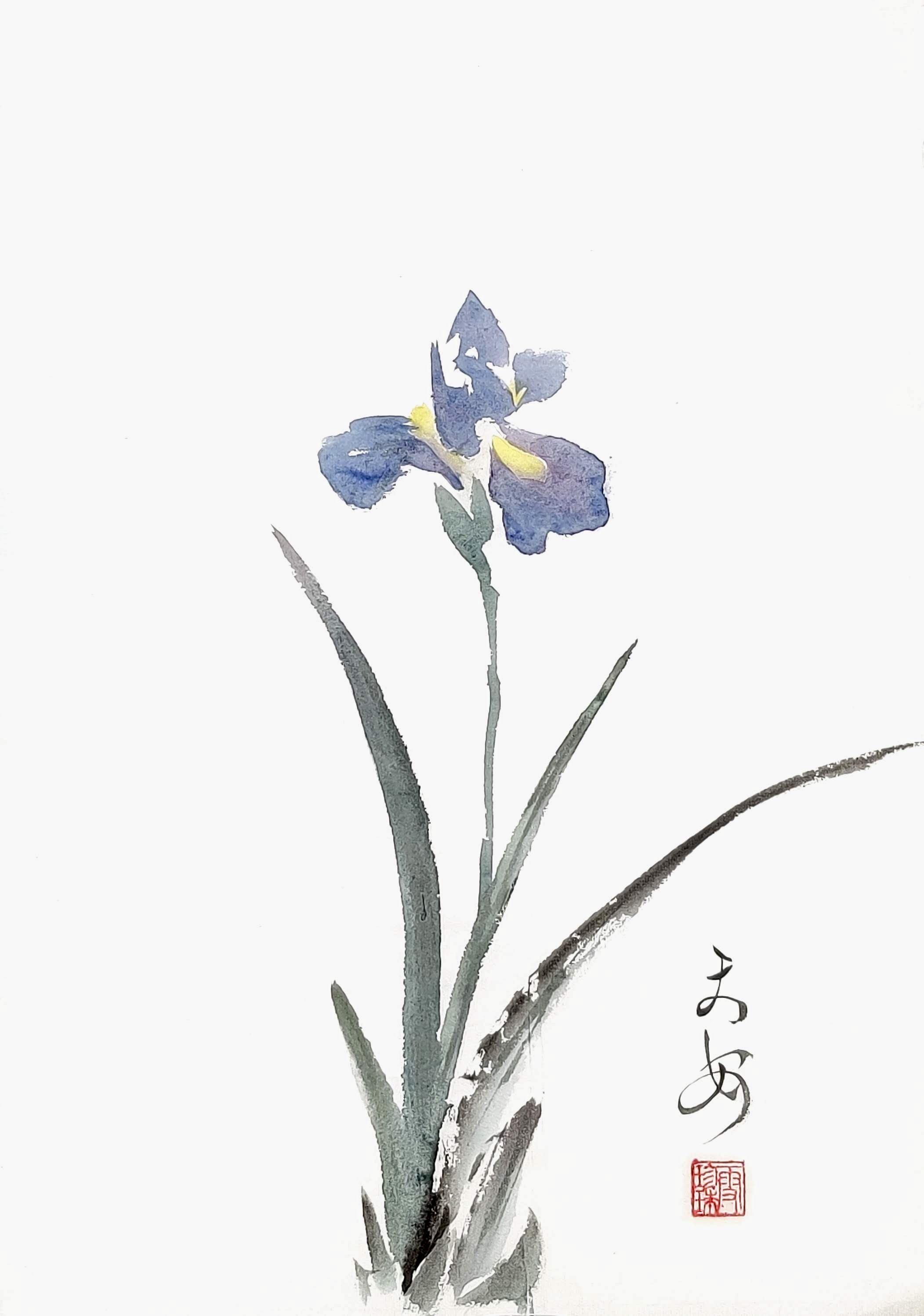 Iris 003