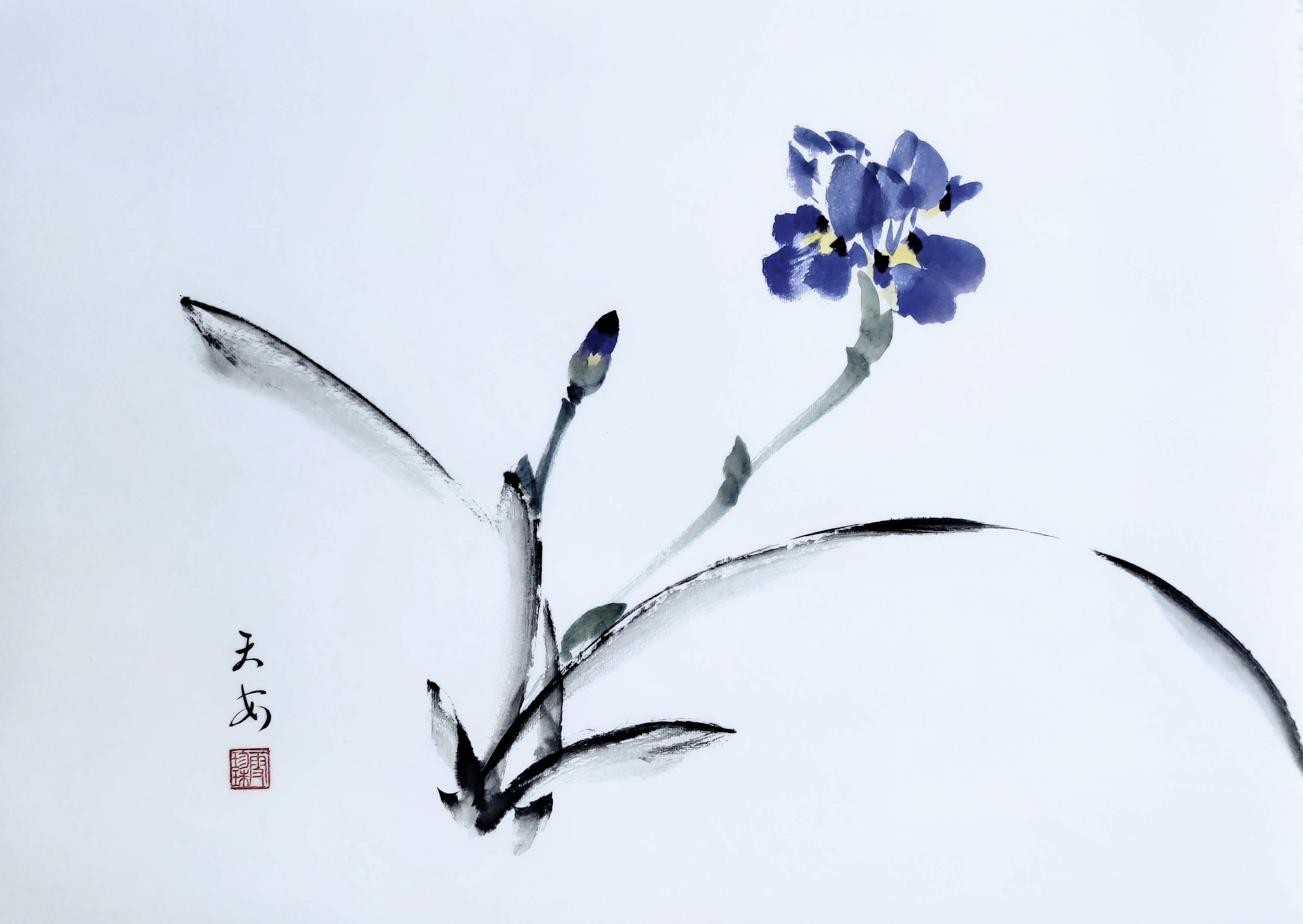 Iris 008