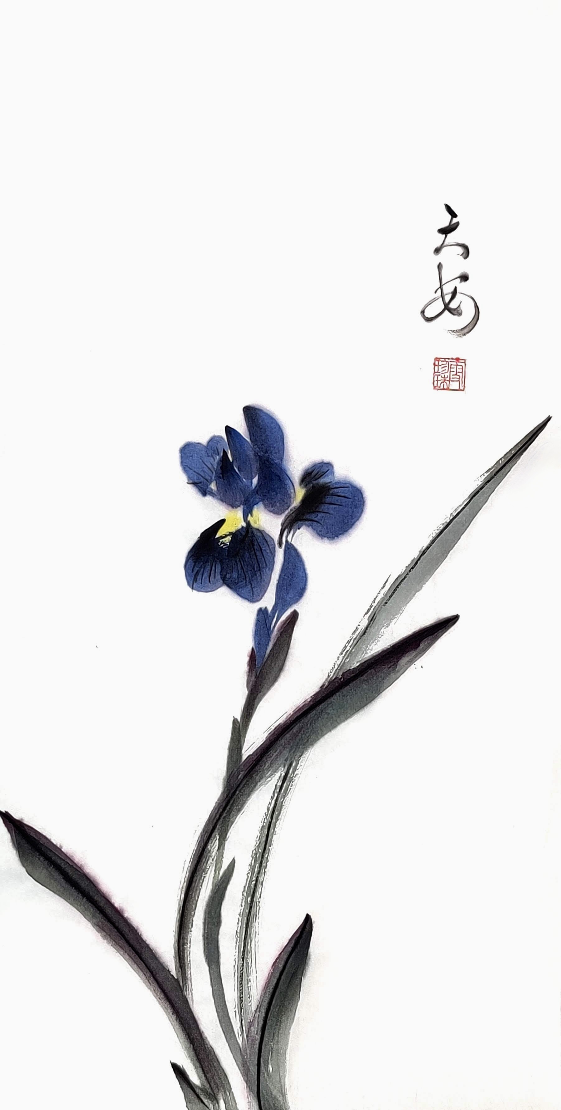 Iris 009