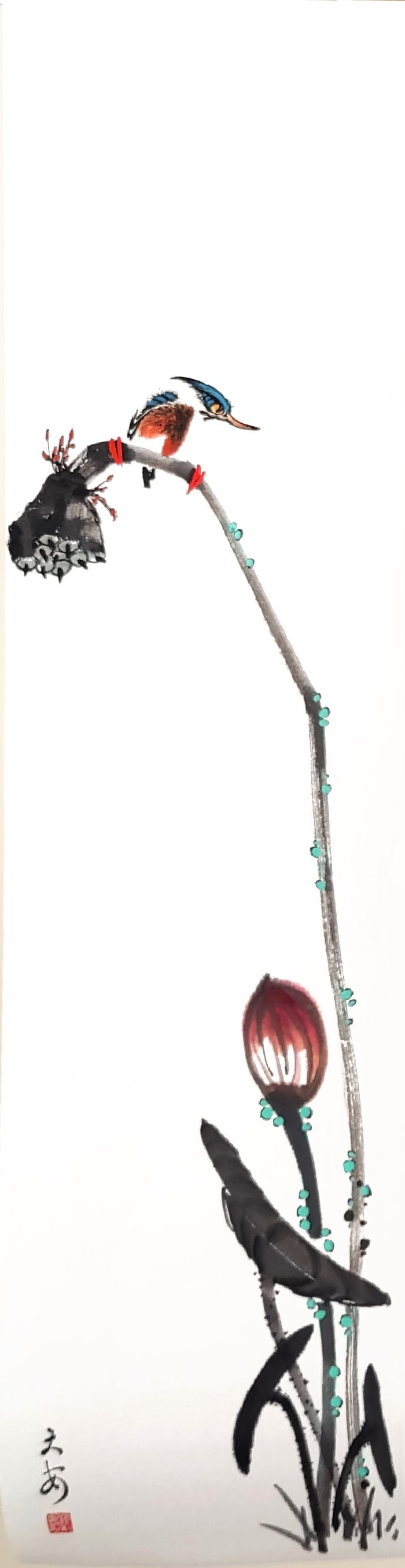 Kingfisher 002