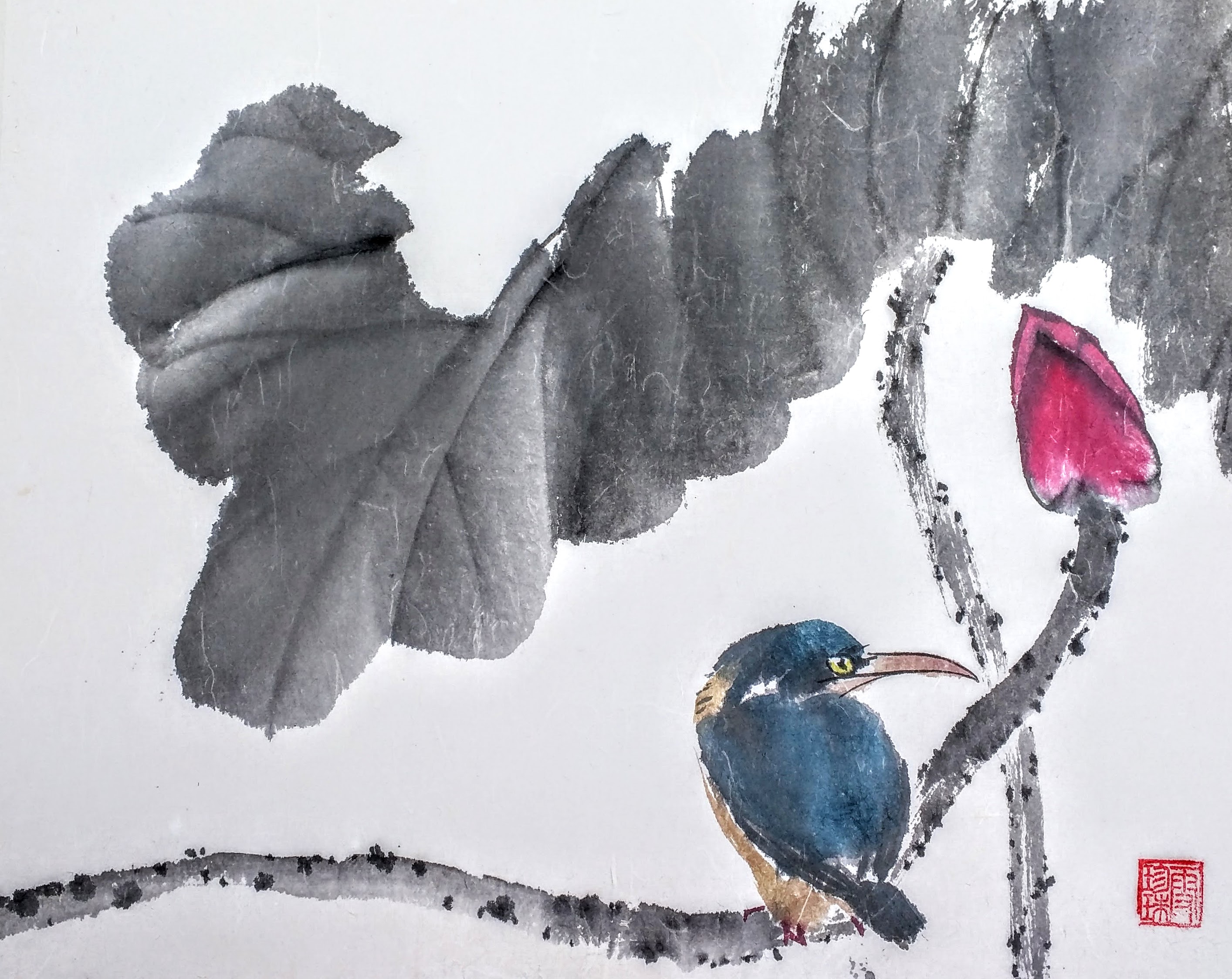 Kingfisher 006