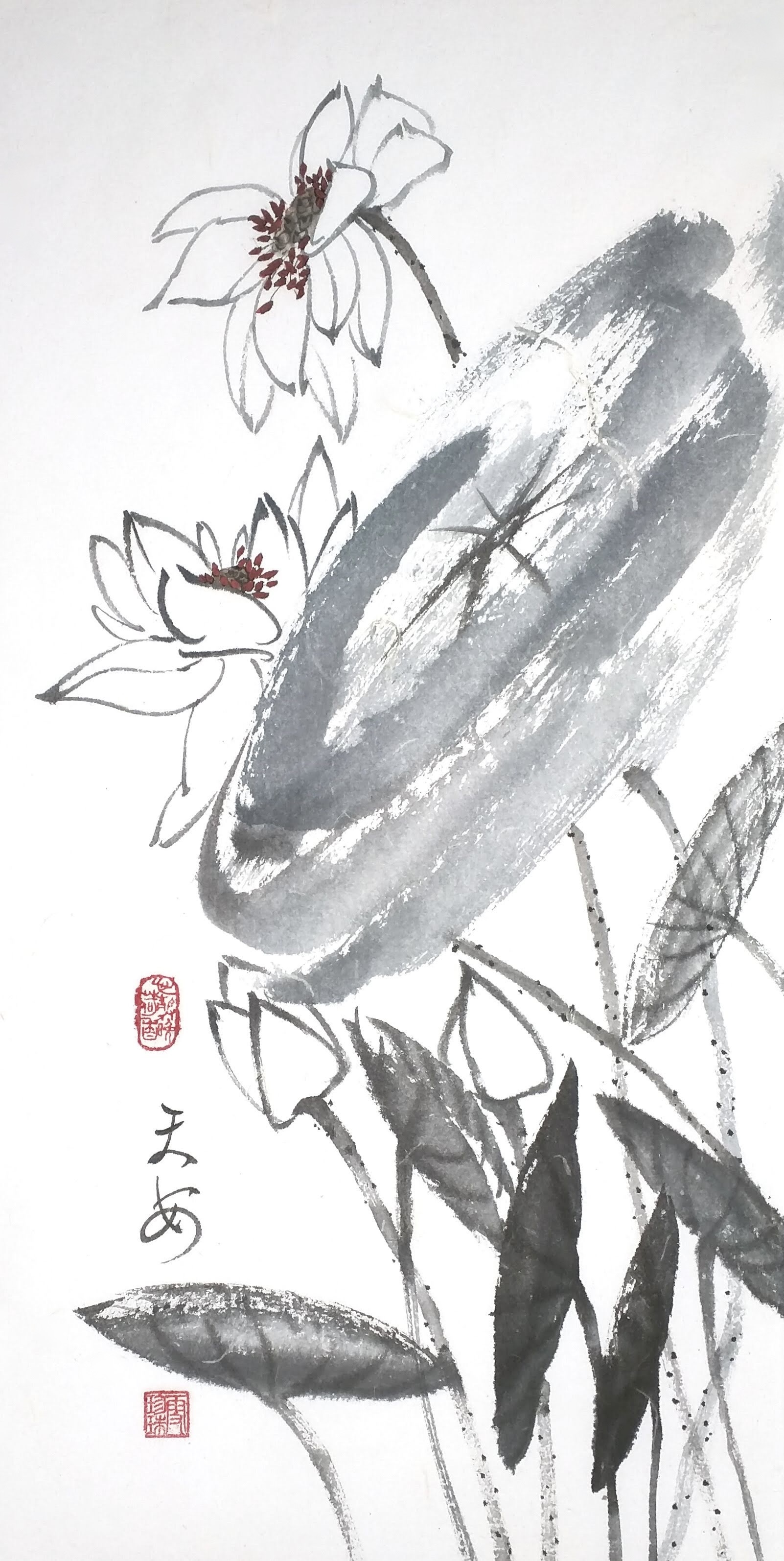 Lotus 016