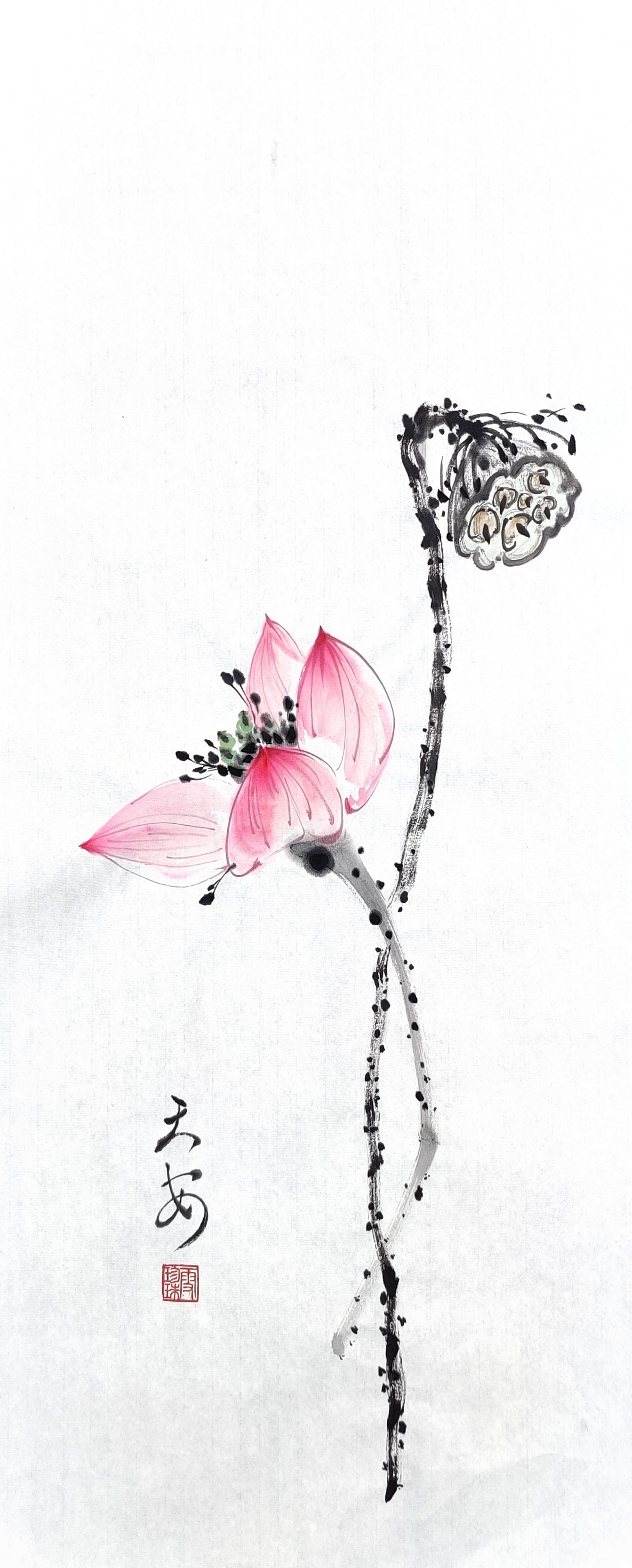 Lotus 019
