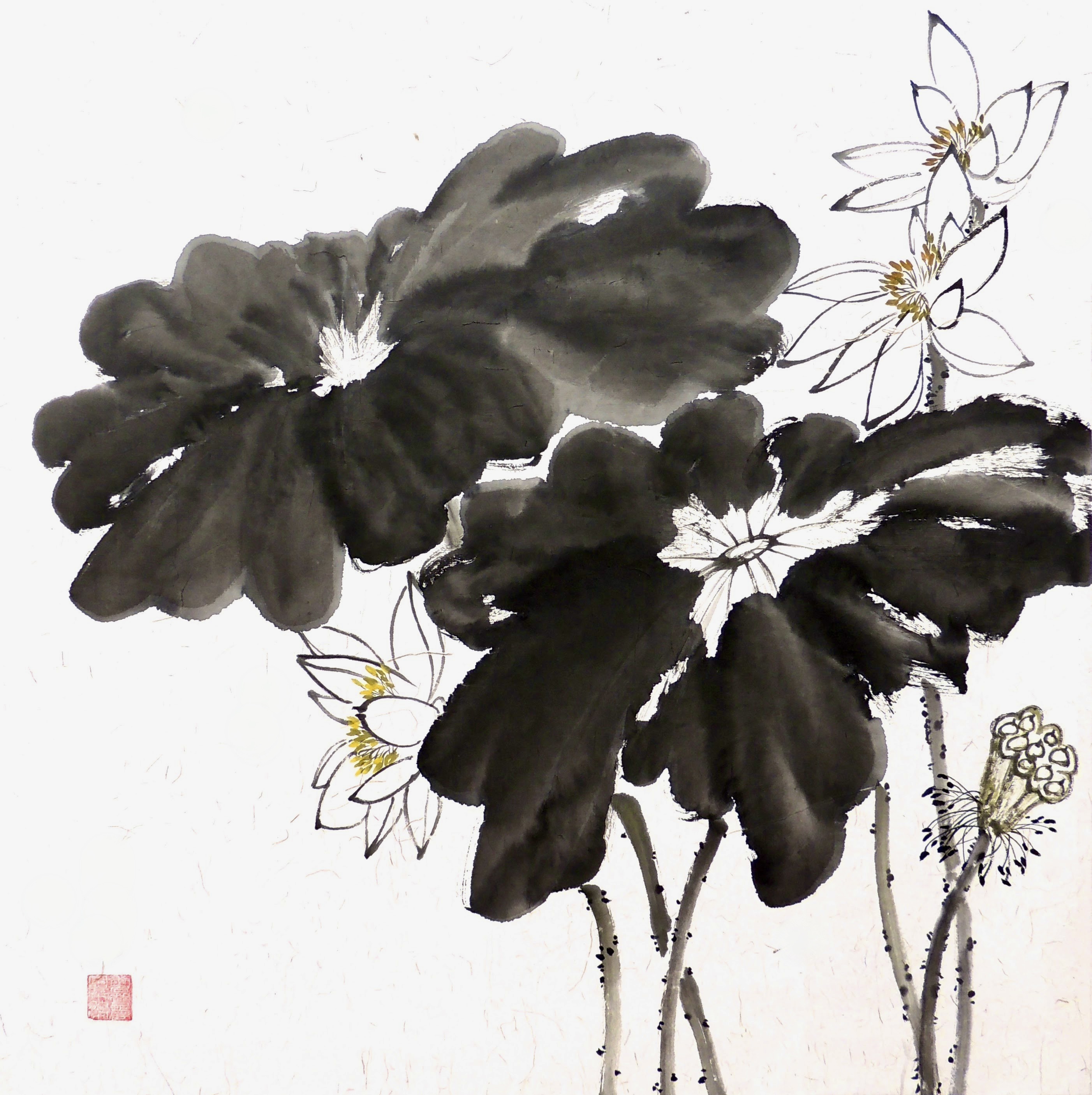 Lotus 021