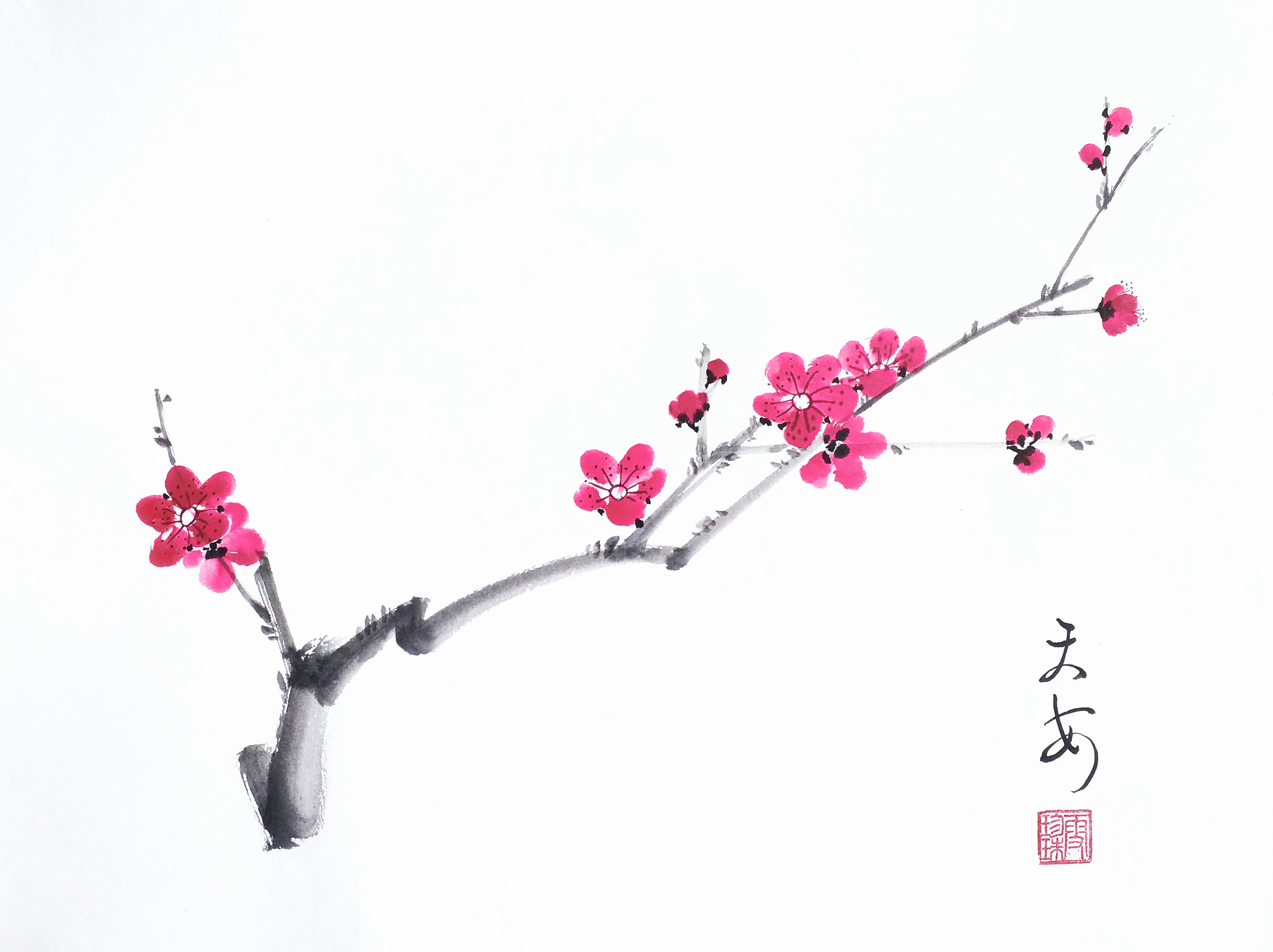Meihua 002