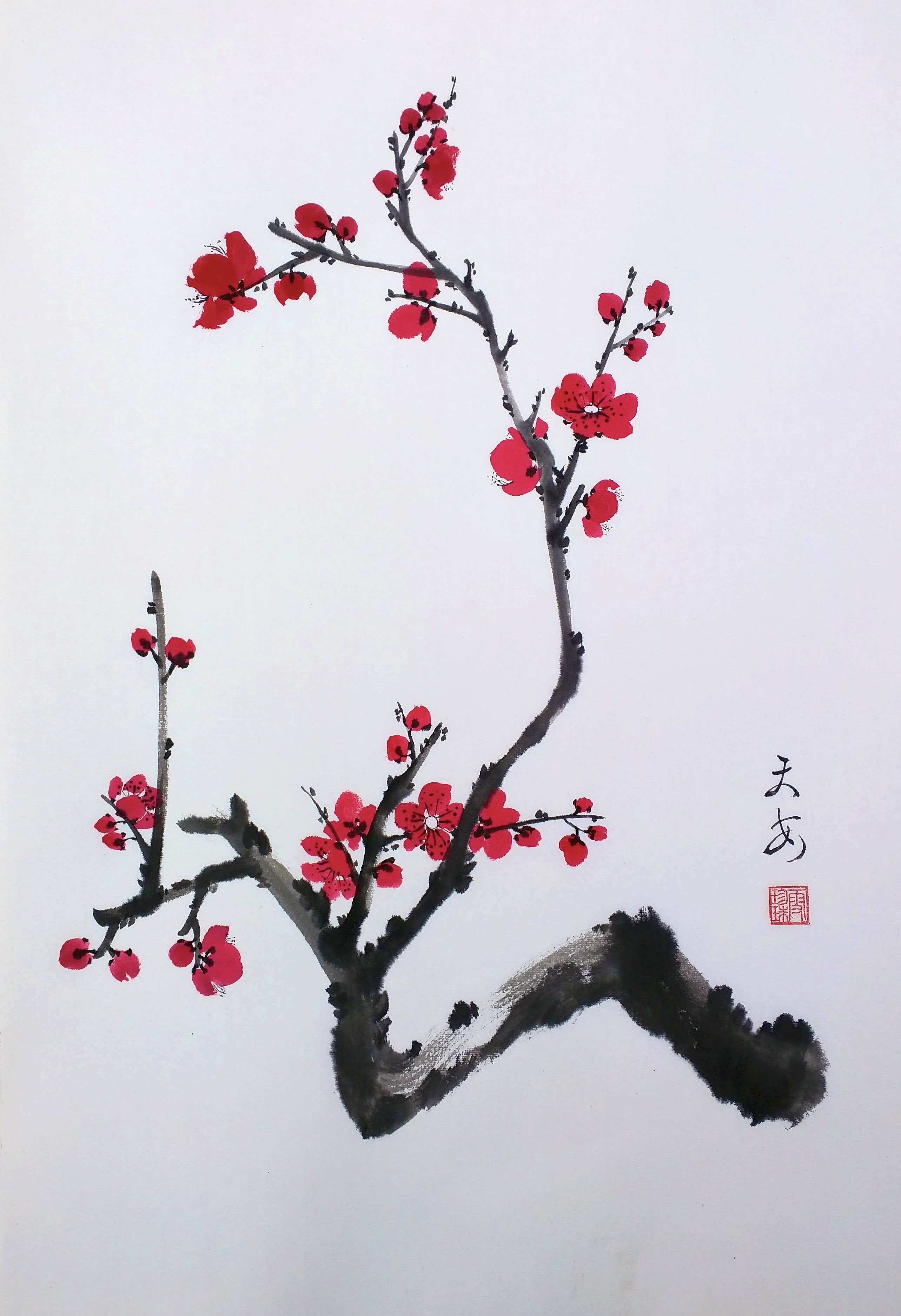 Meihua 005