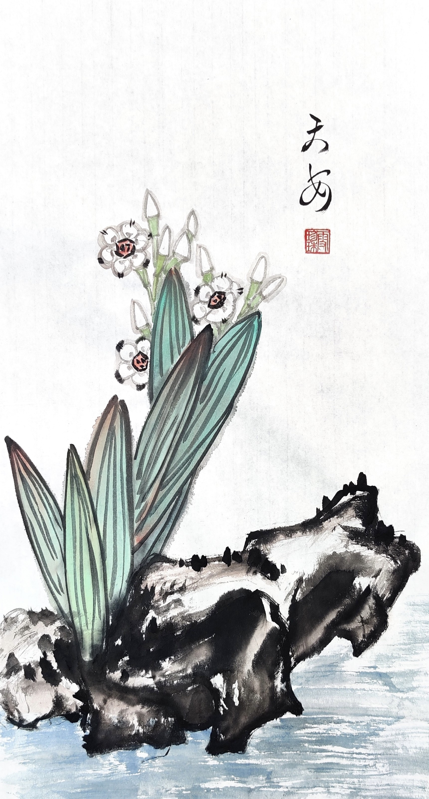 Narcissus 004