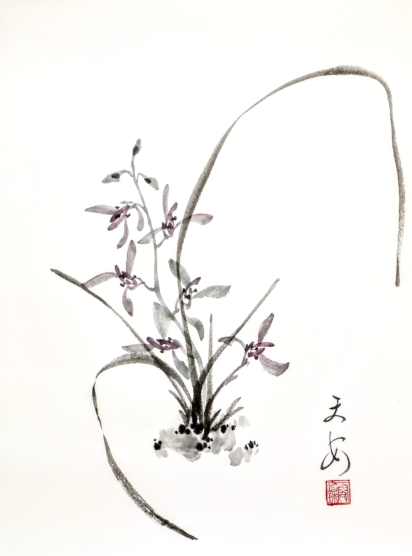 Orchids 001