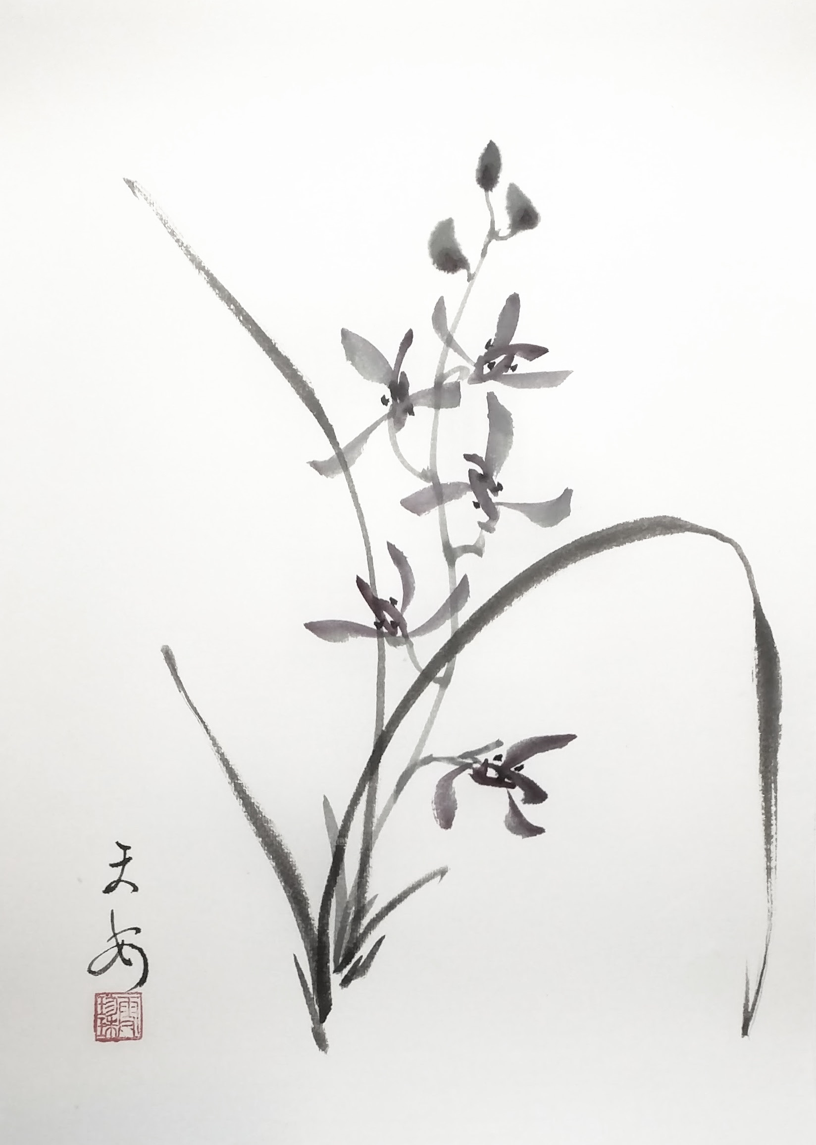 Orchids 002