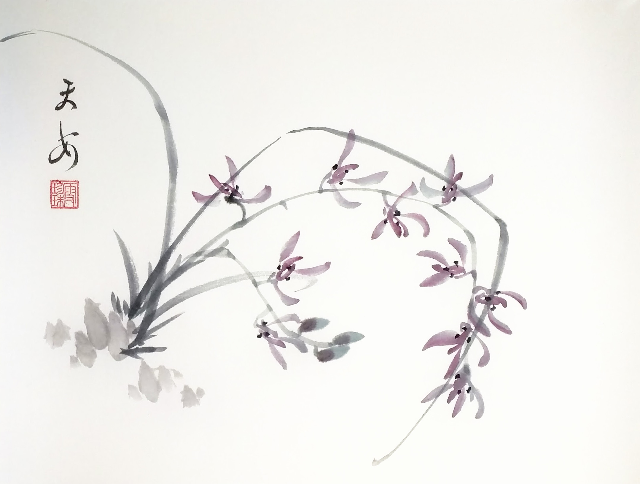 Orchids 003