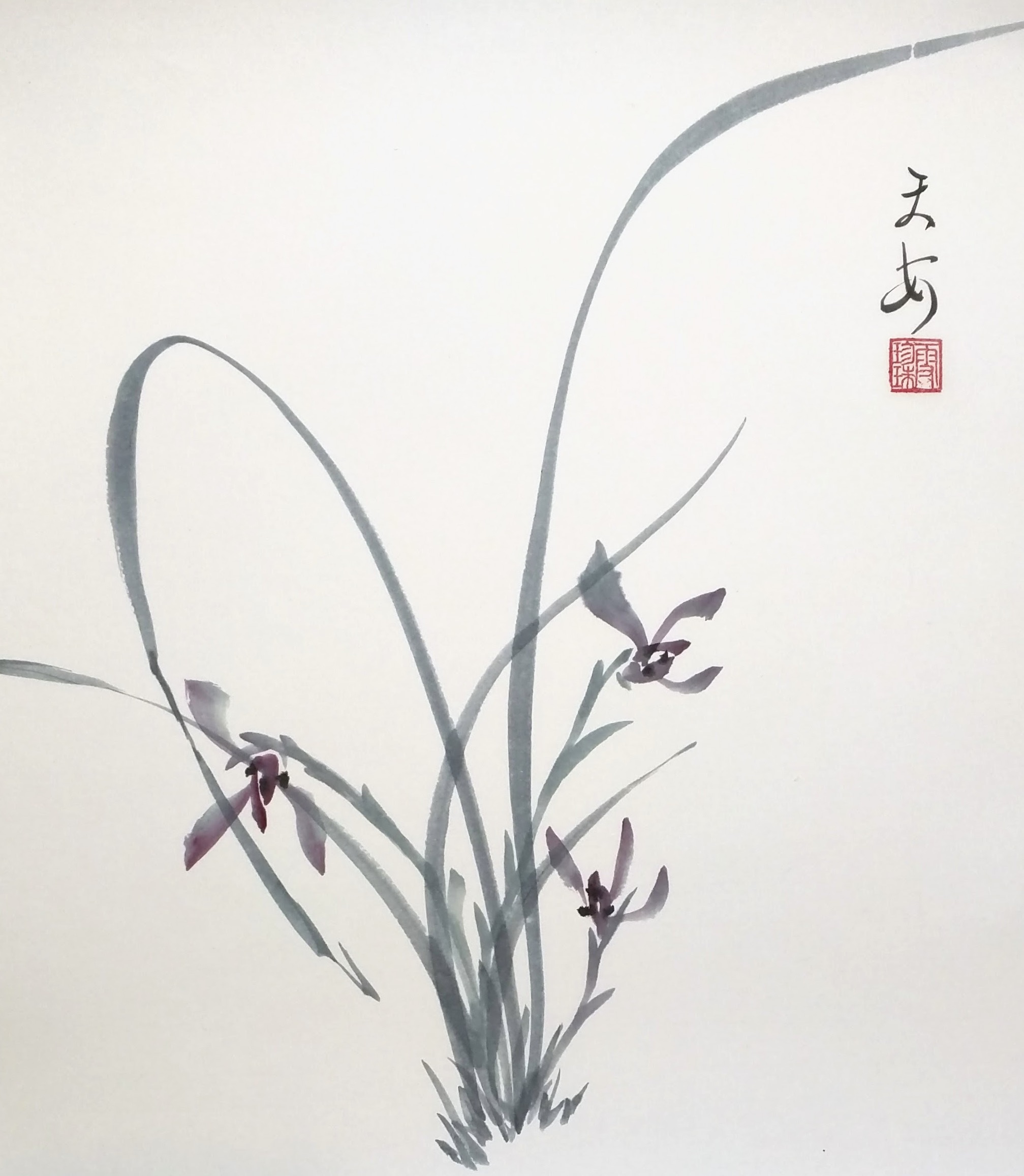 Orchids 004