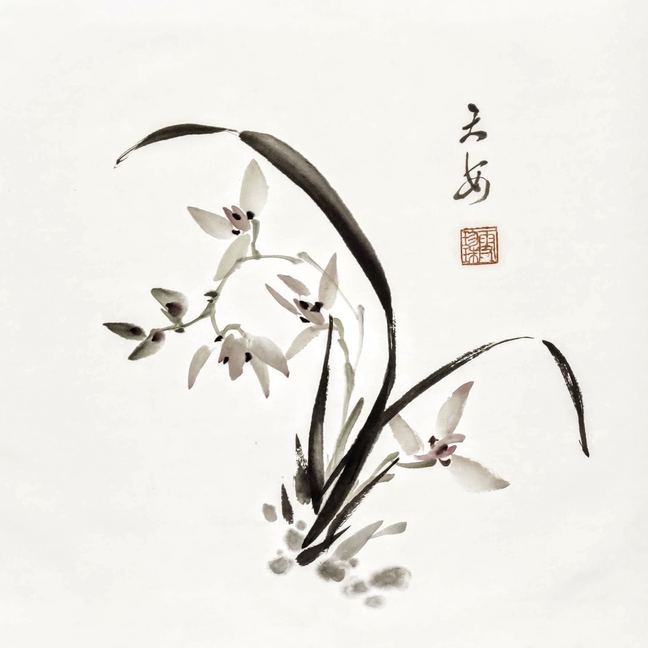 Orchids 005