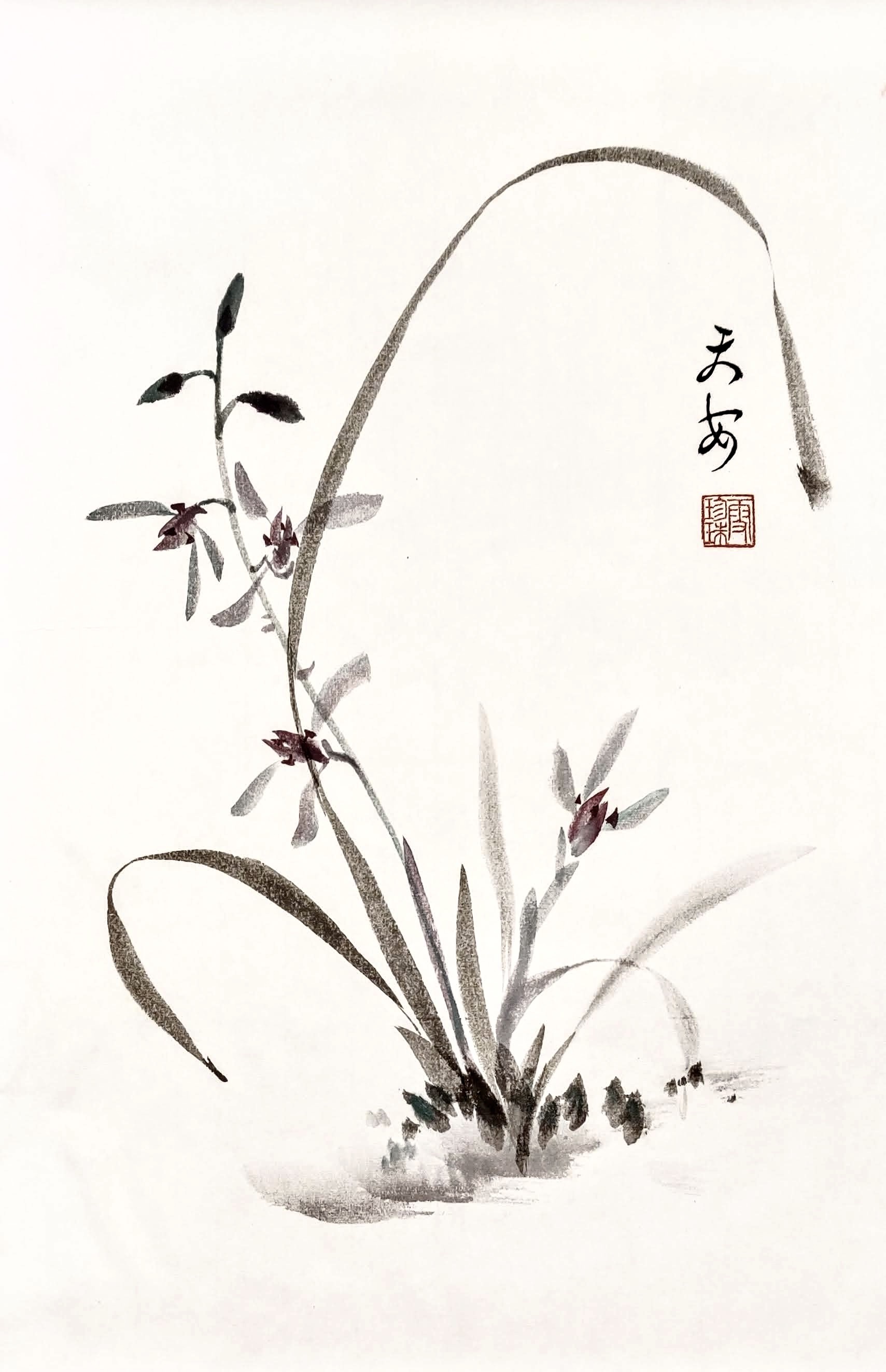 Orchids 006