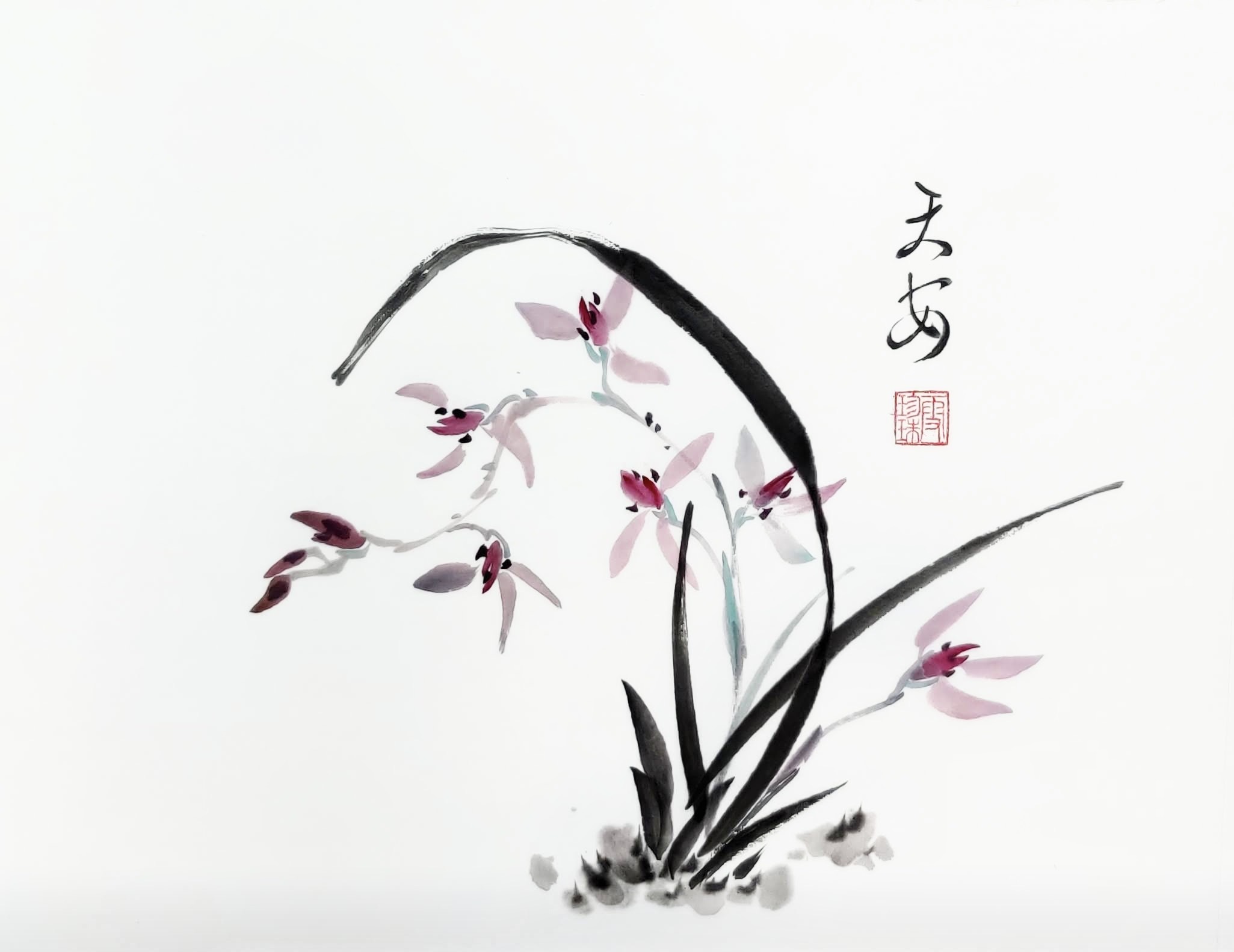 Orchids 007