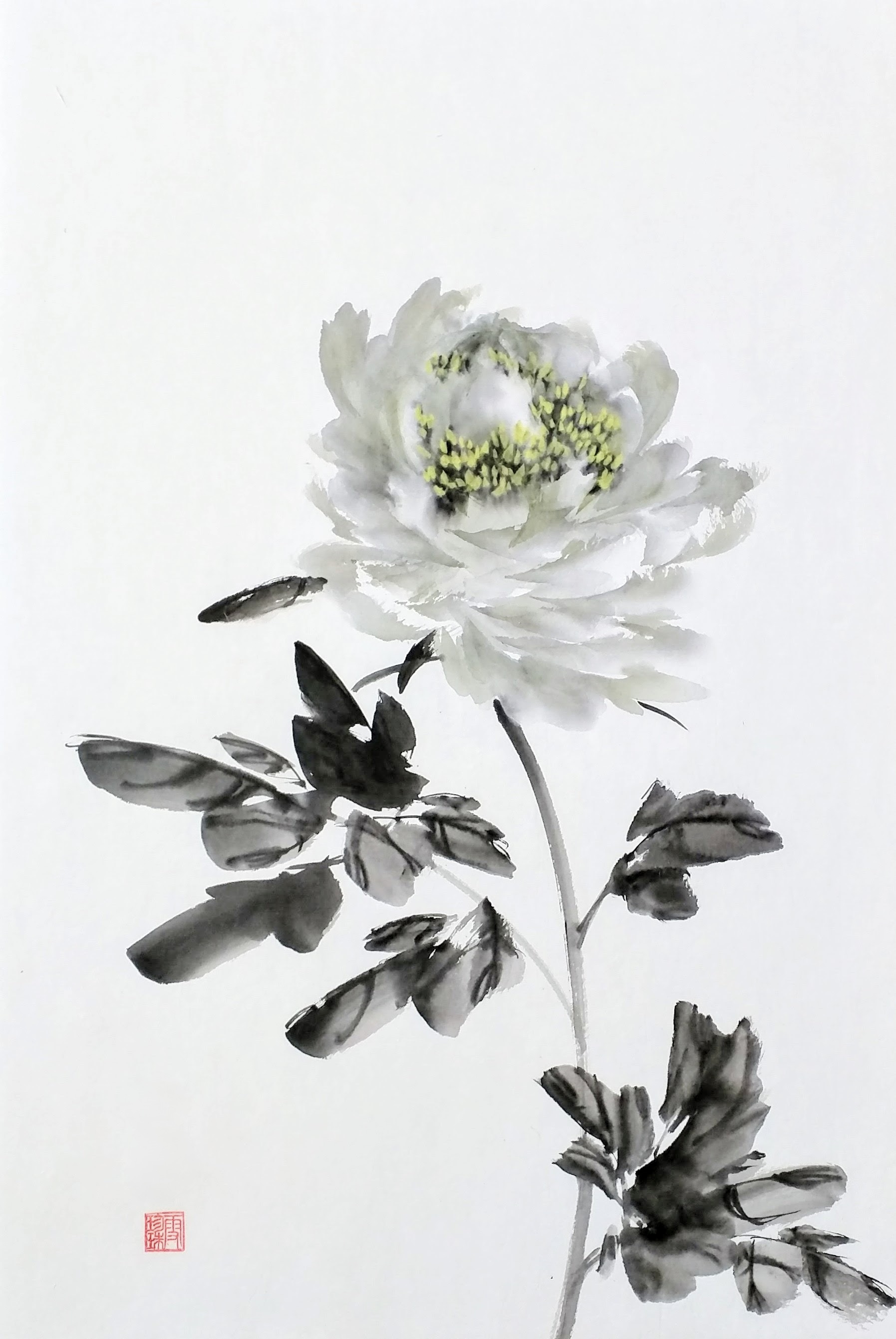 Peonies 000
