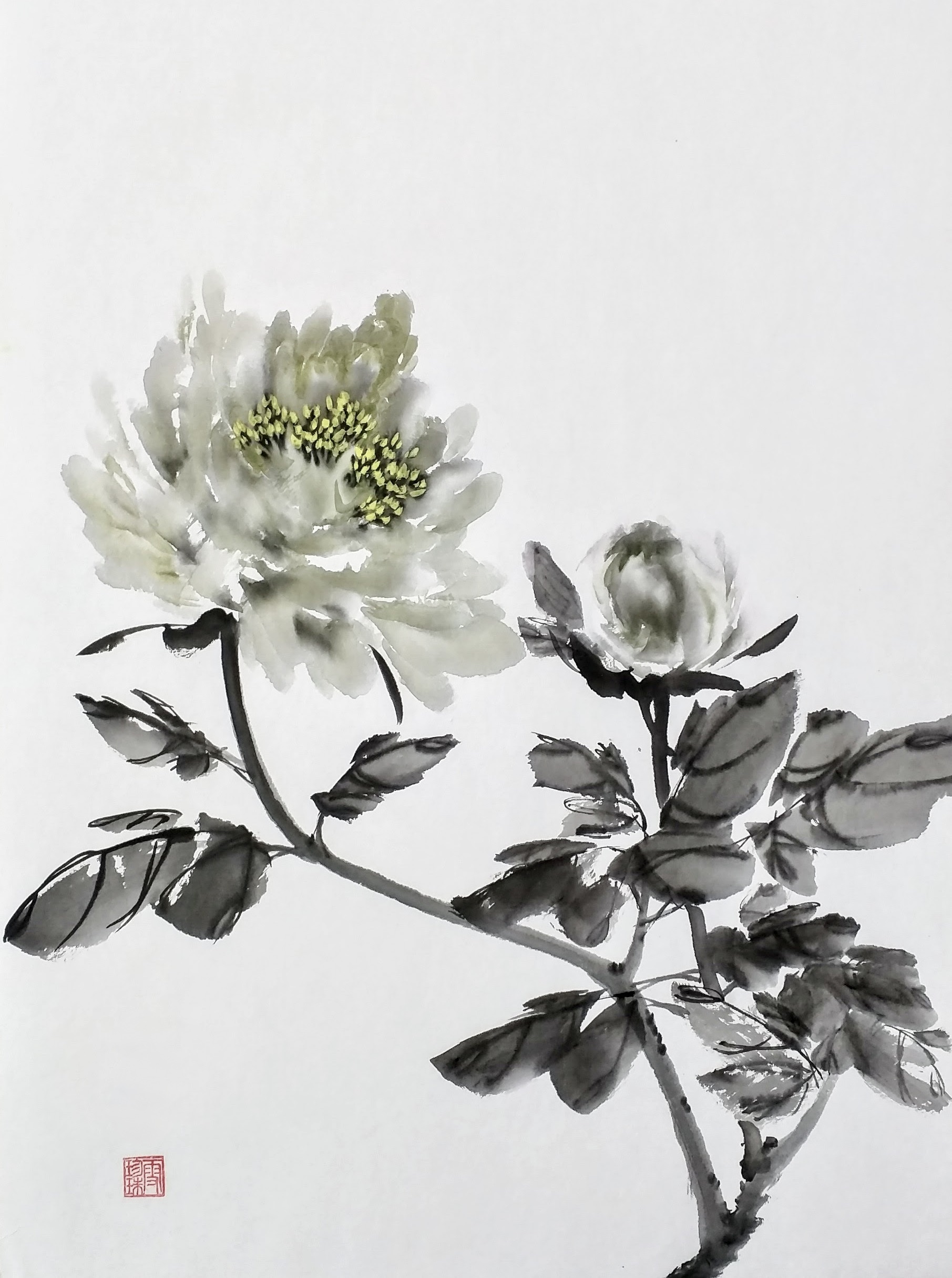 Peonies 001