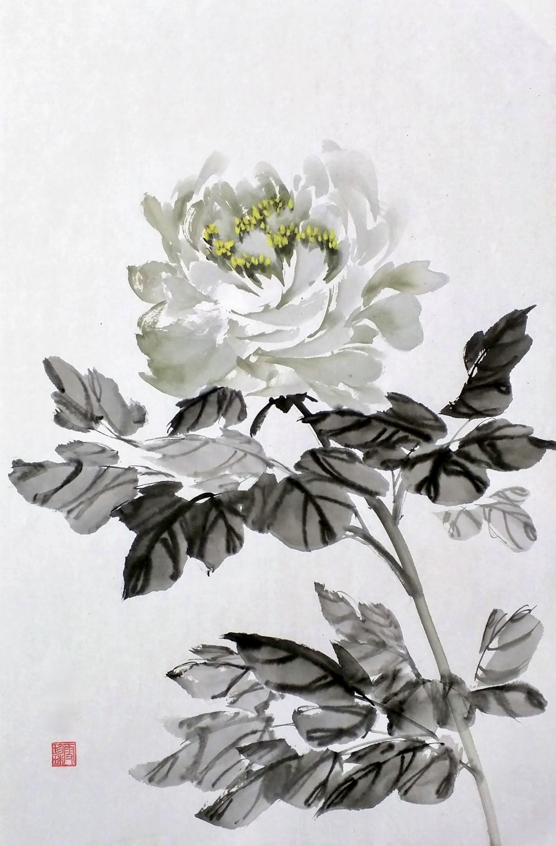 Peonies 002