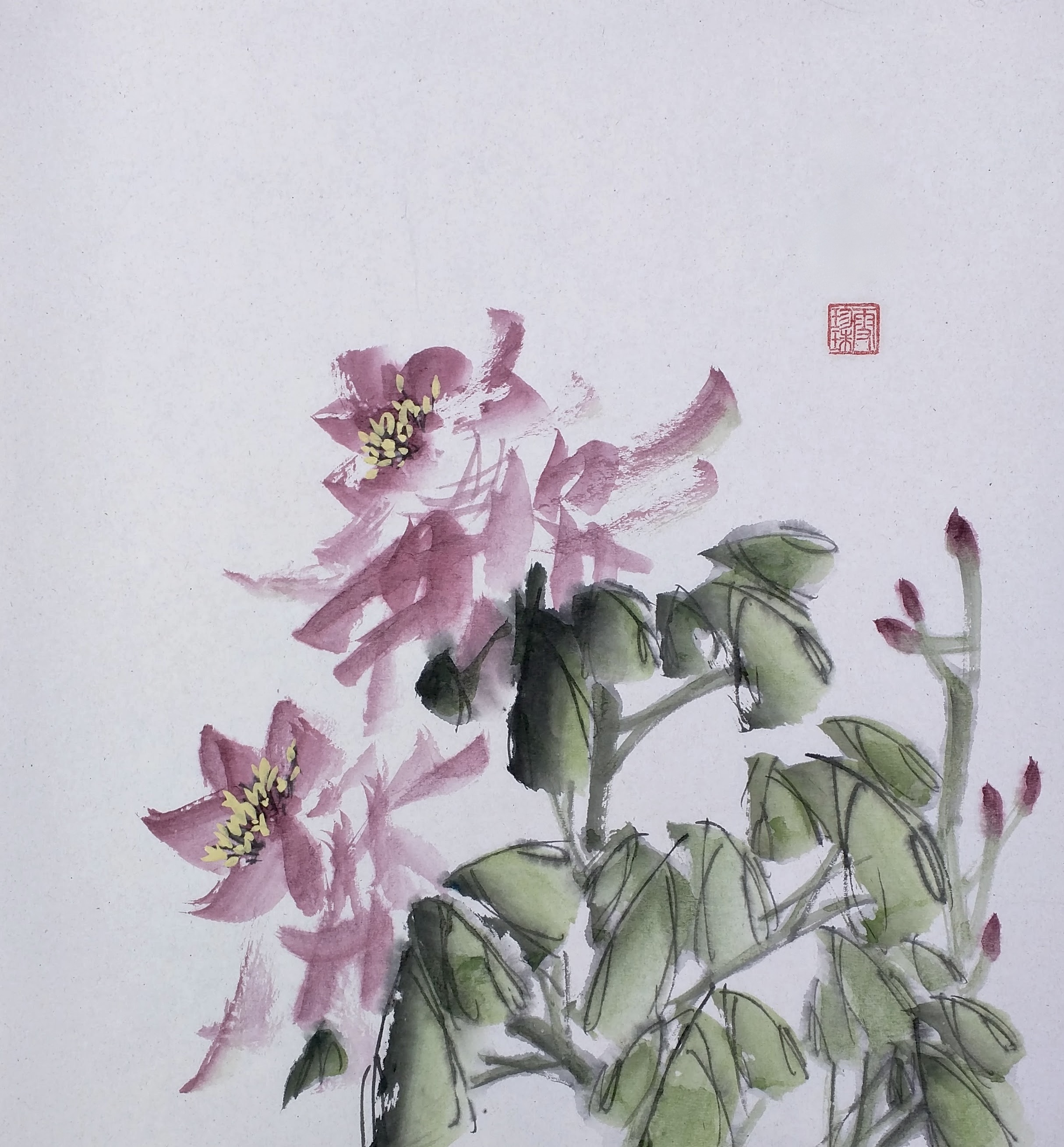 Peonies 003