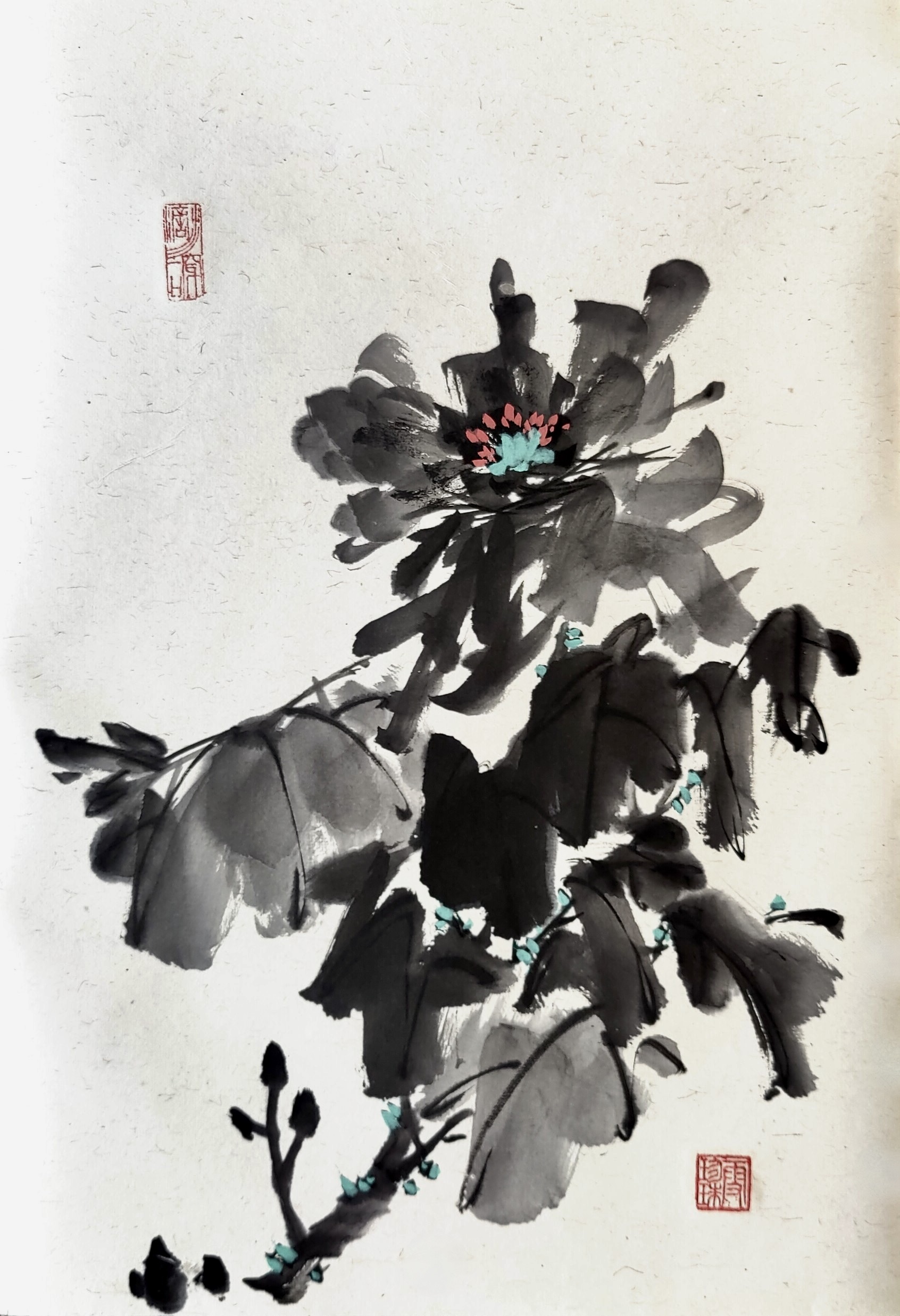Peonies 004