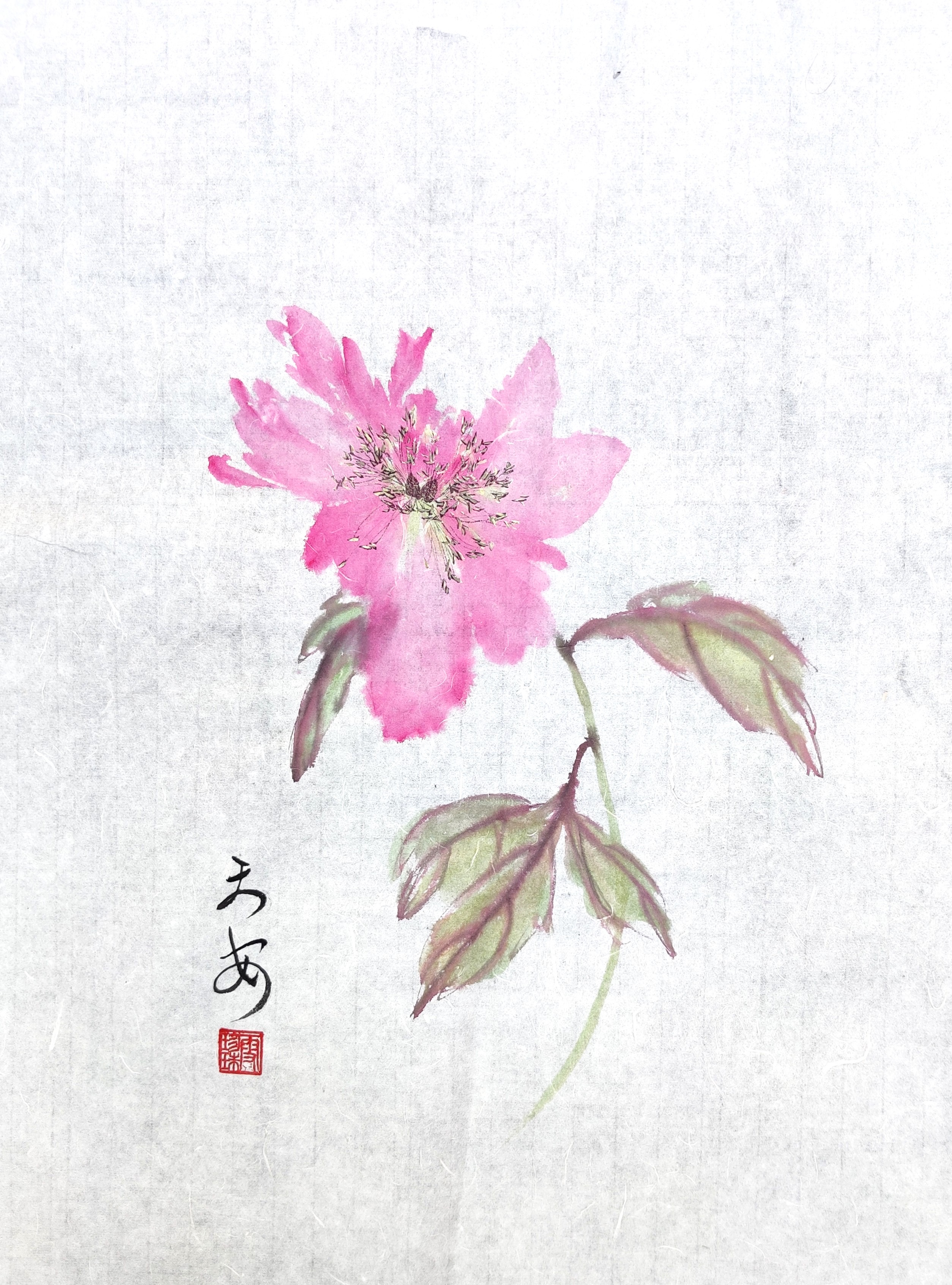 Peonies 005