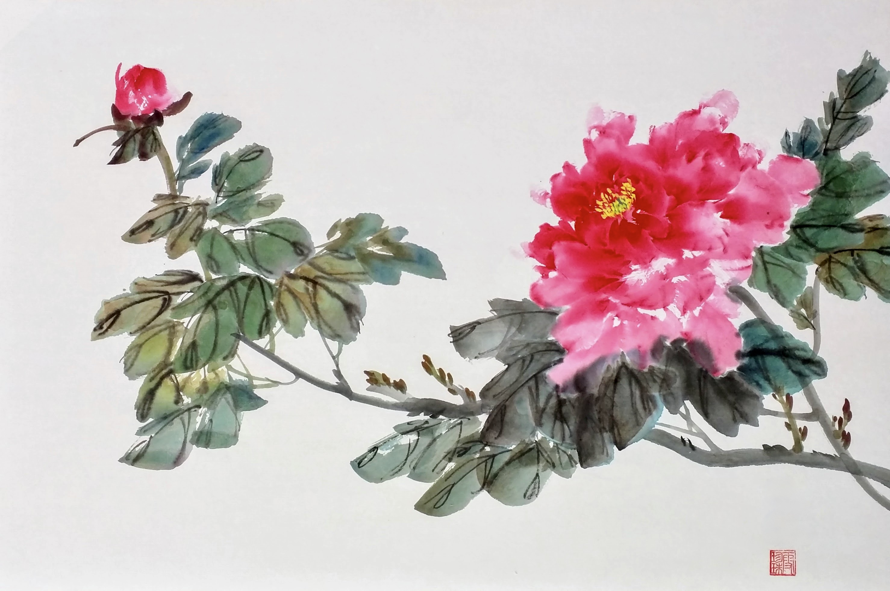 Peonies 006