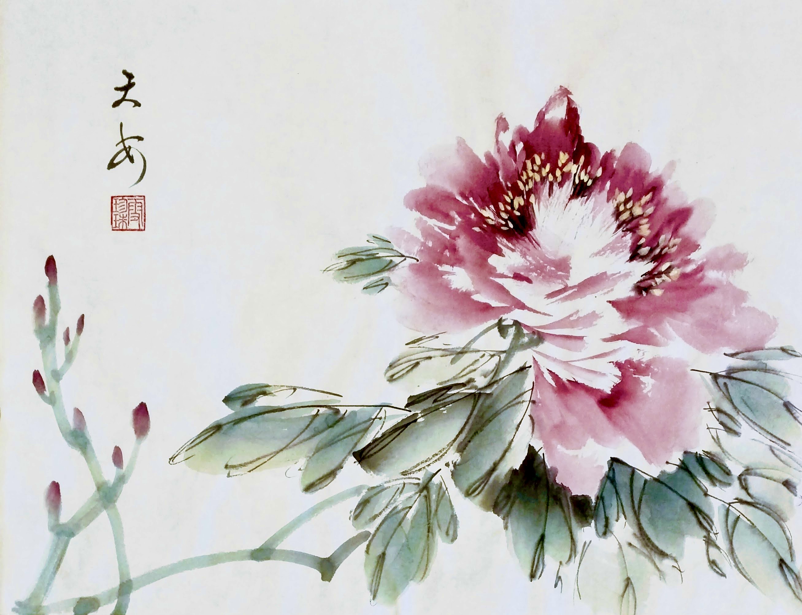 Peonies 007