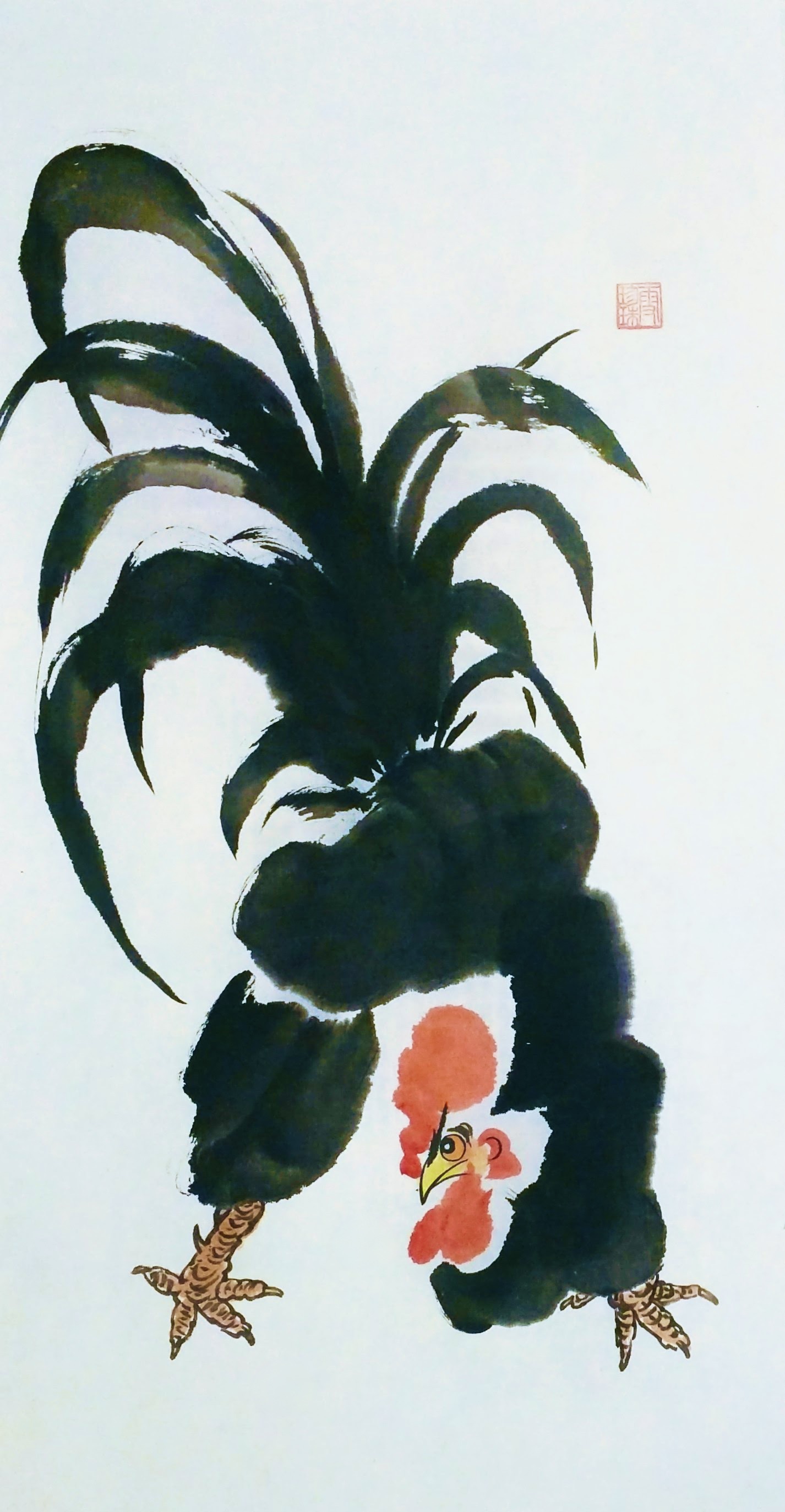 Roosters 000