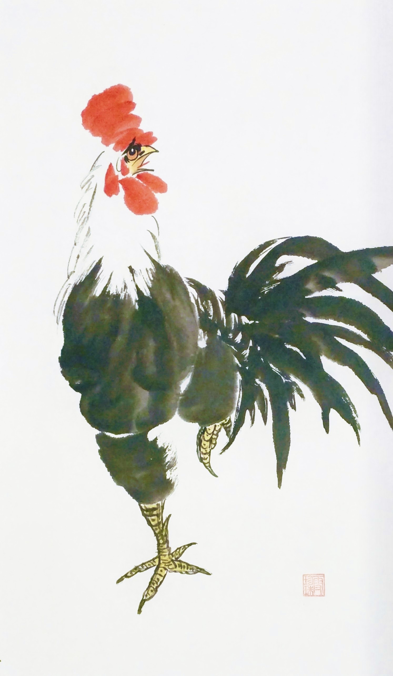 Roosters 003